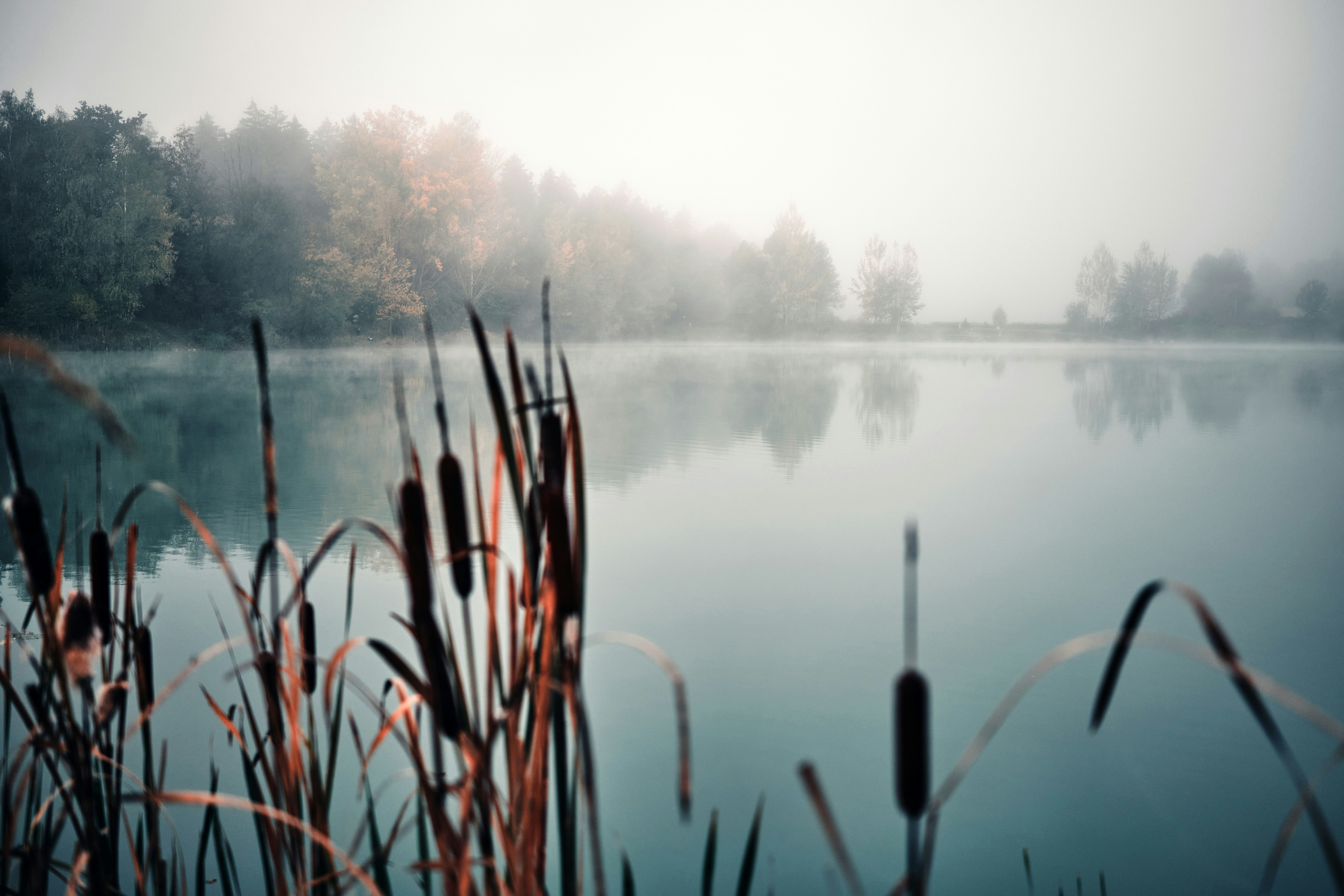 Photo by marcus_ganahl