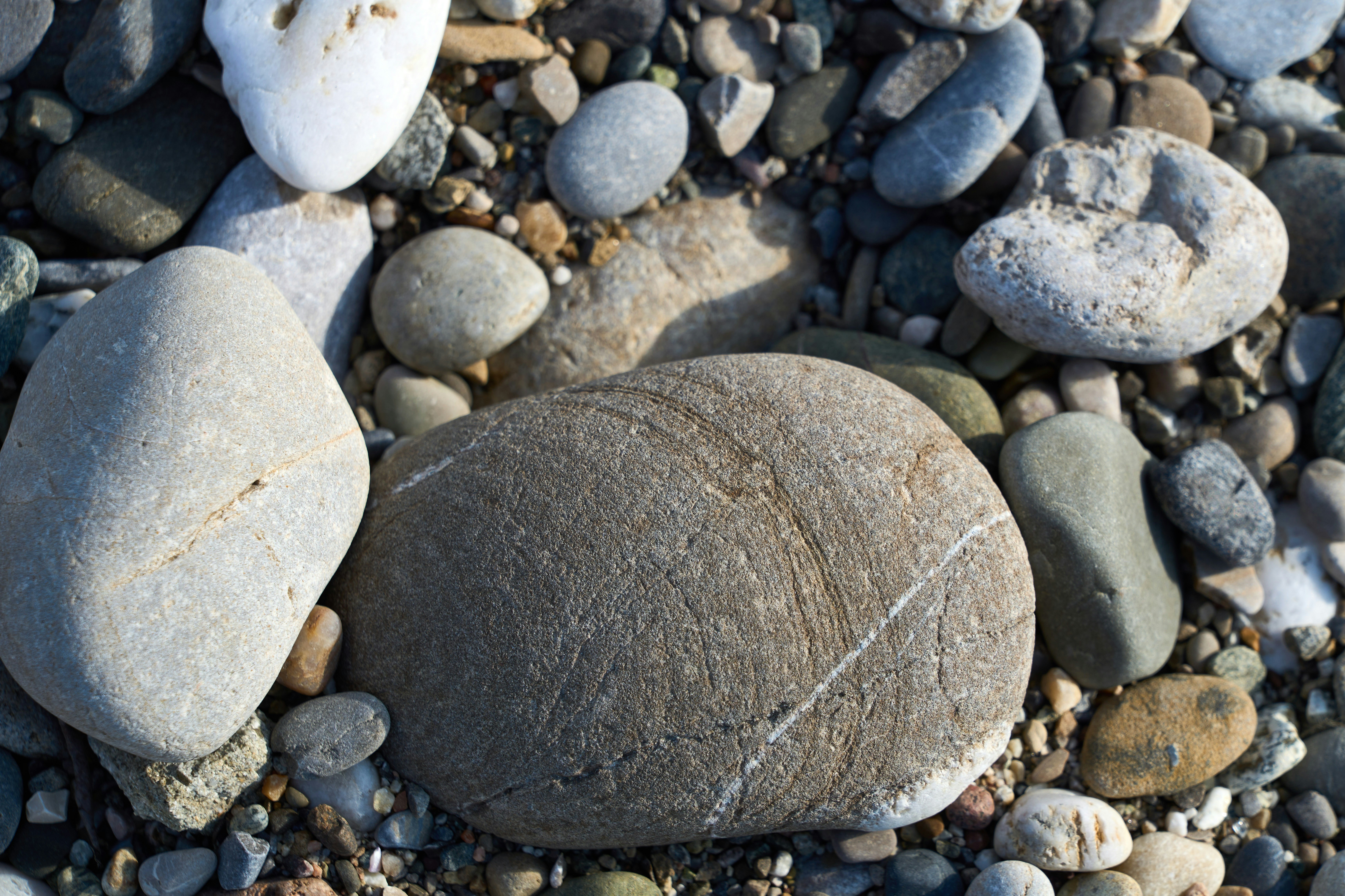 Photo by wolfgang_hasselmann