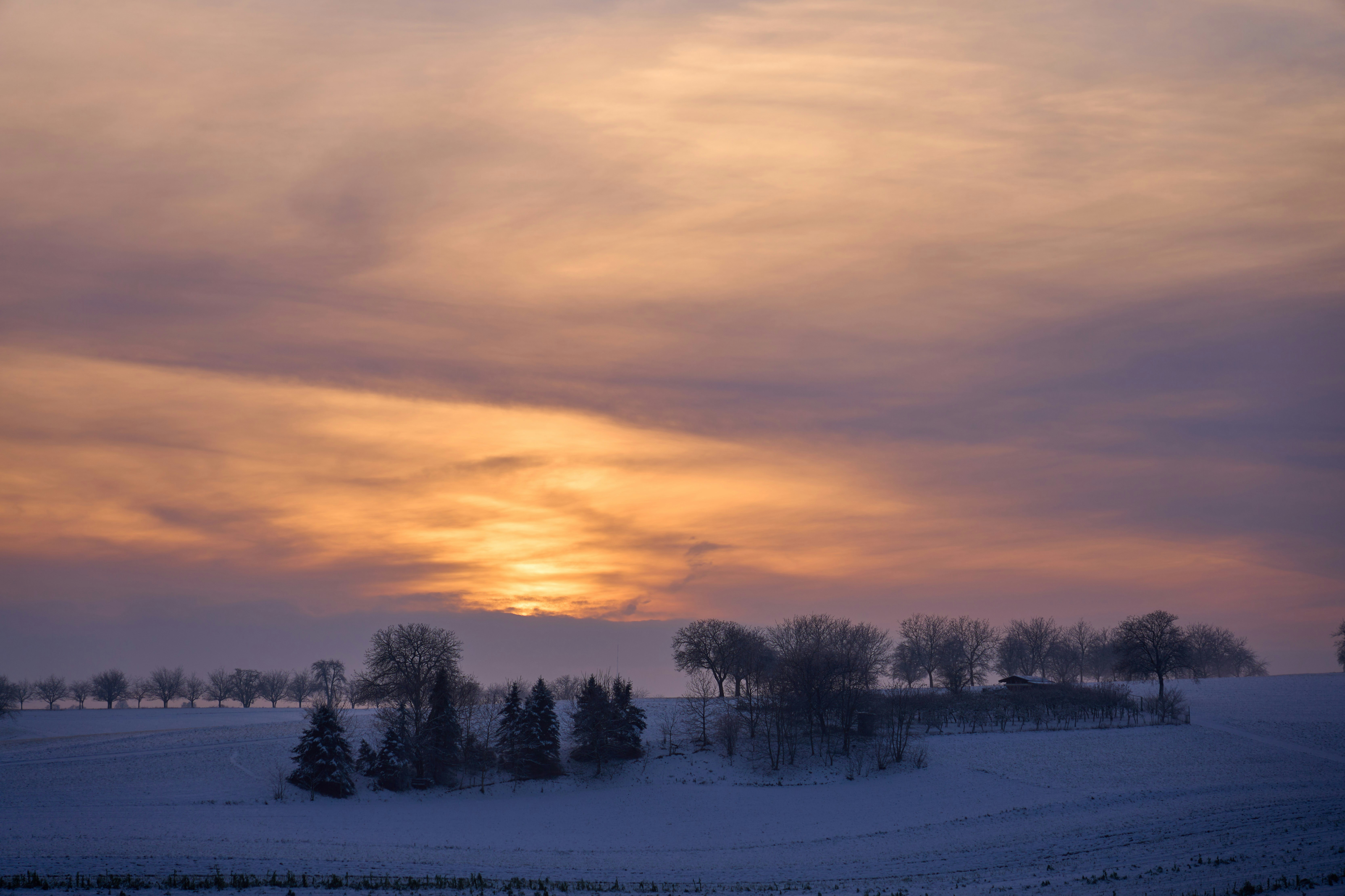 Photo by wolfgang_hasselmann