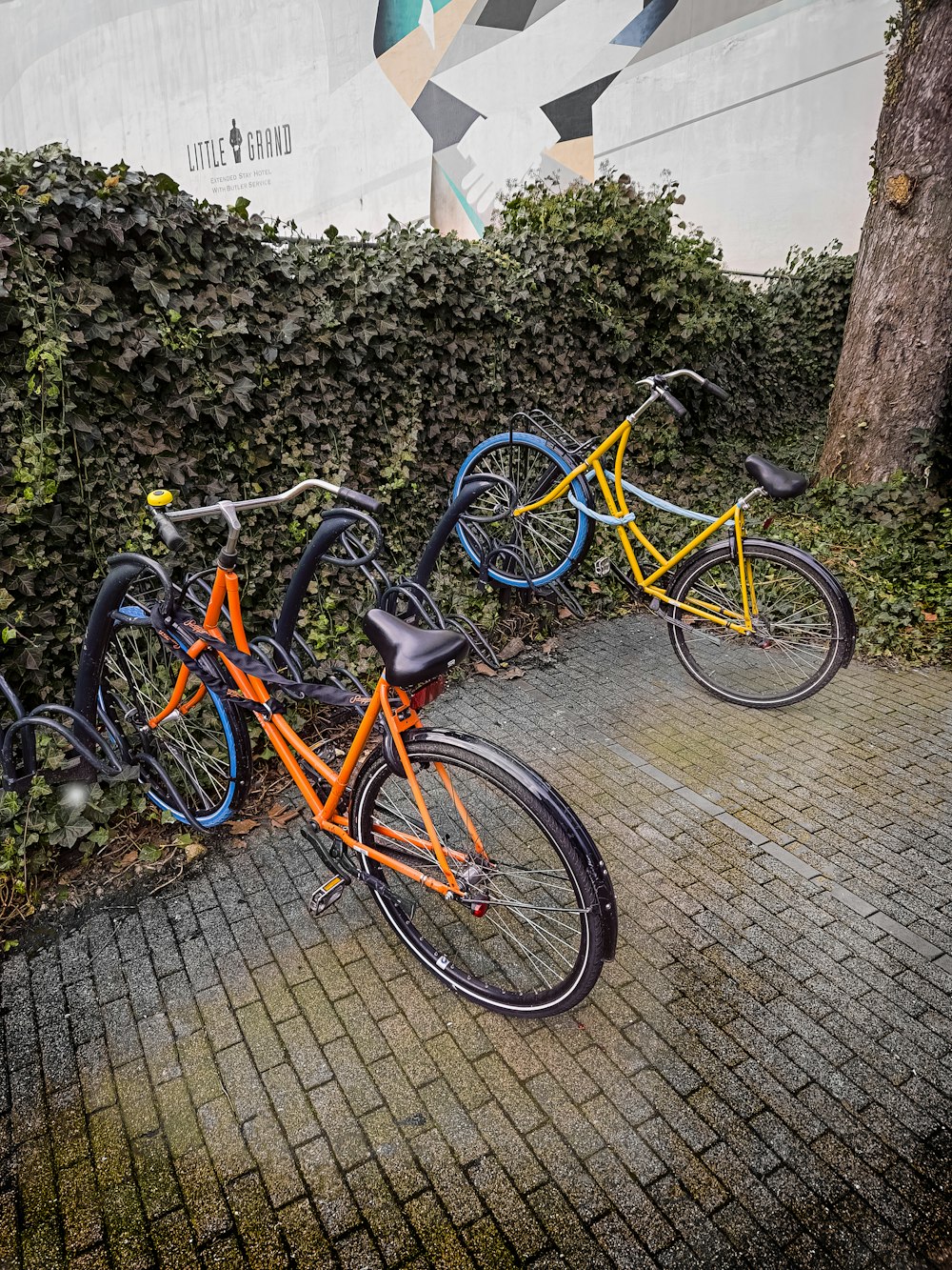 a row of bikes parked next to each other on a sidewalk