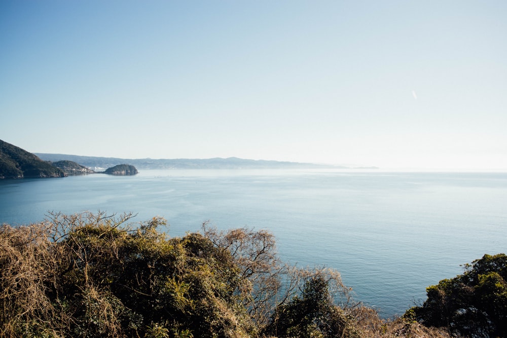 a large body of water surrounded by trees