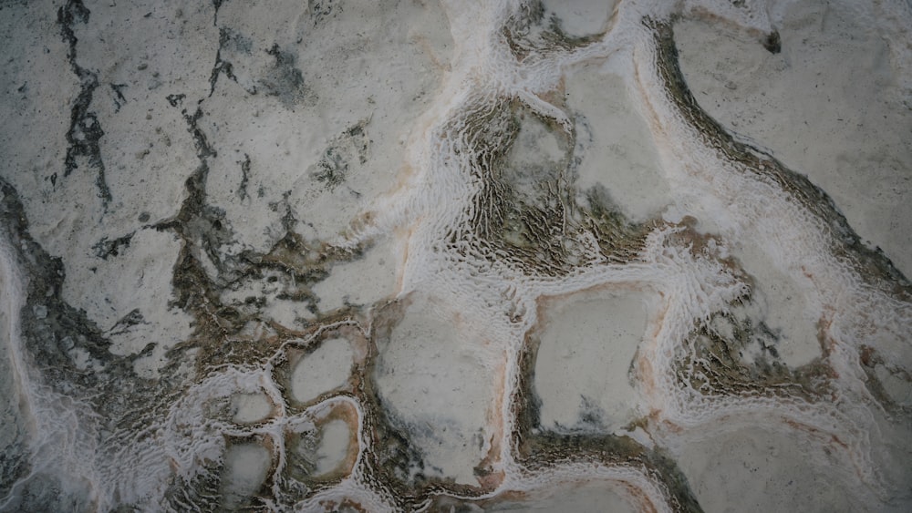 a close up of a rock with ice on it