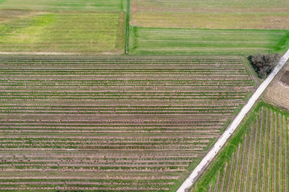 an aerial view of a large field with trees