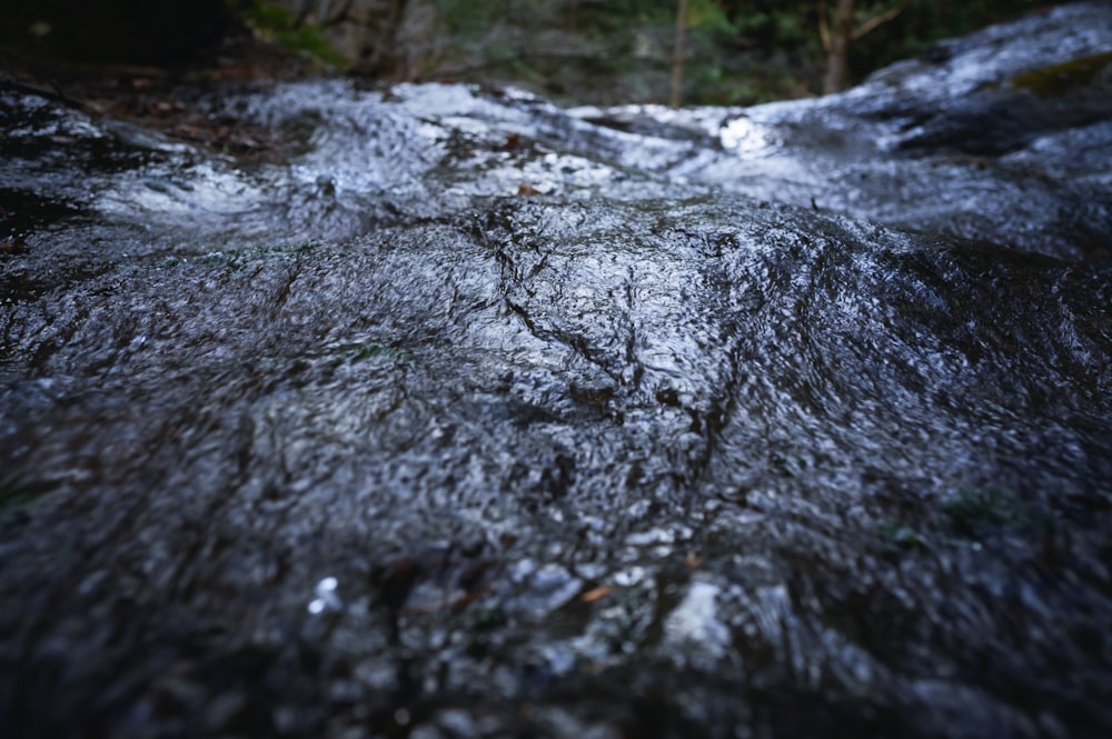 a stream of water running through a forest