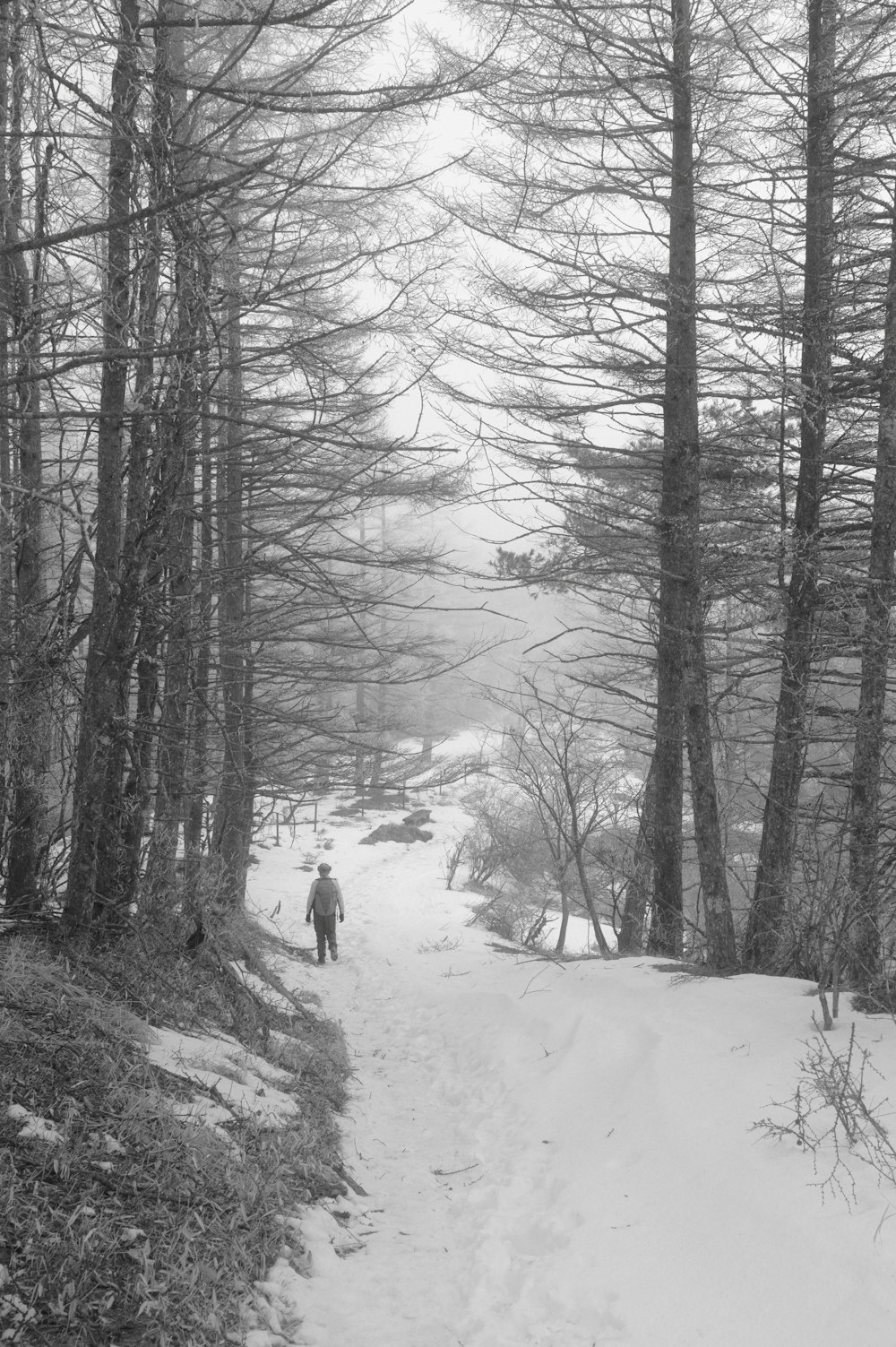 a person walking down a snow covered path in the woods