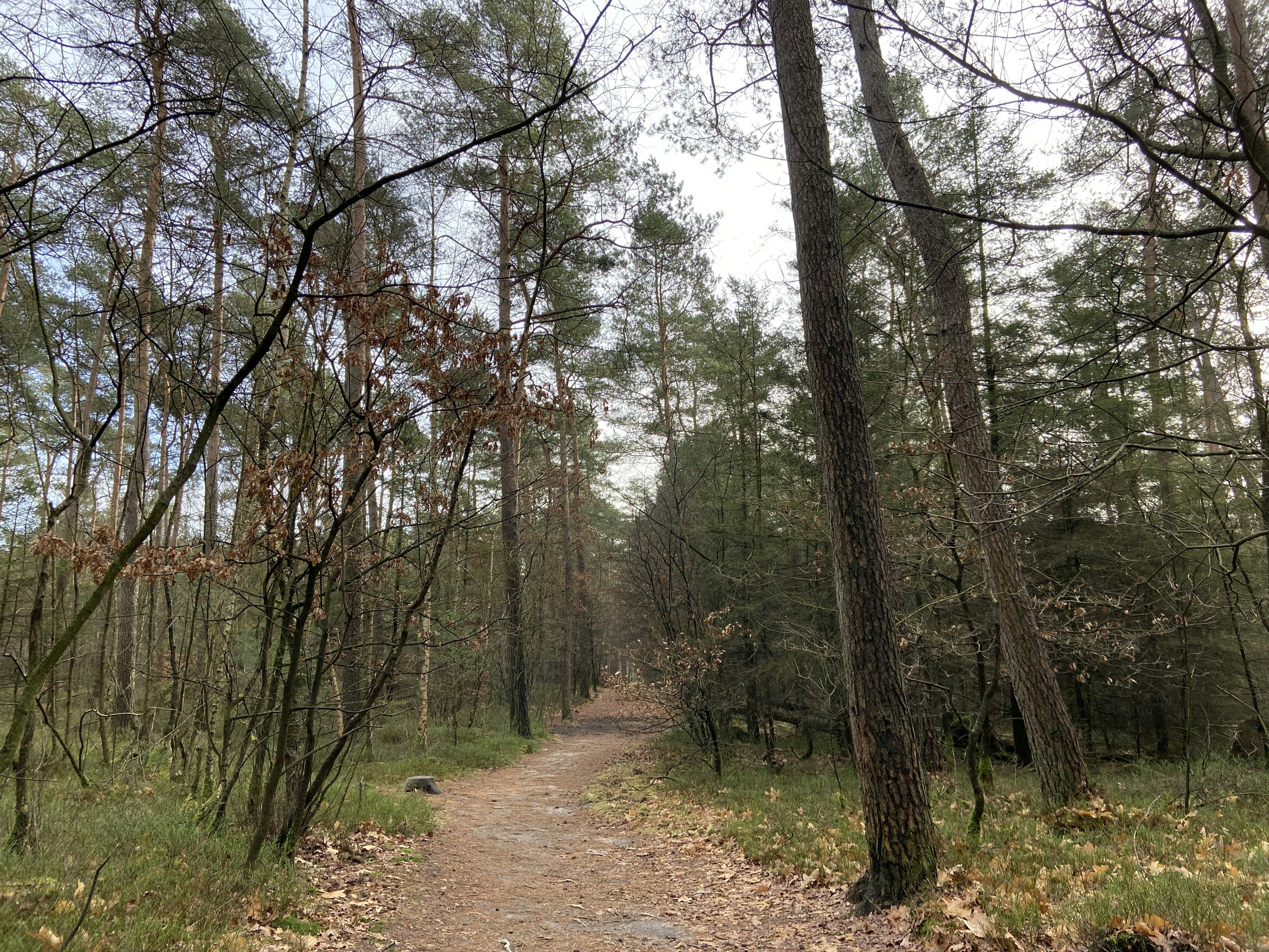 Photo by miranda0411