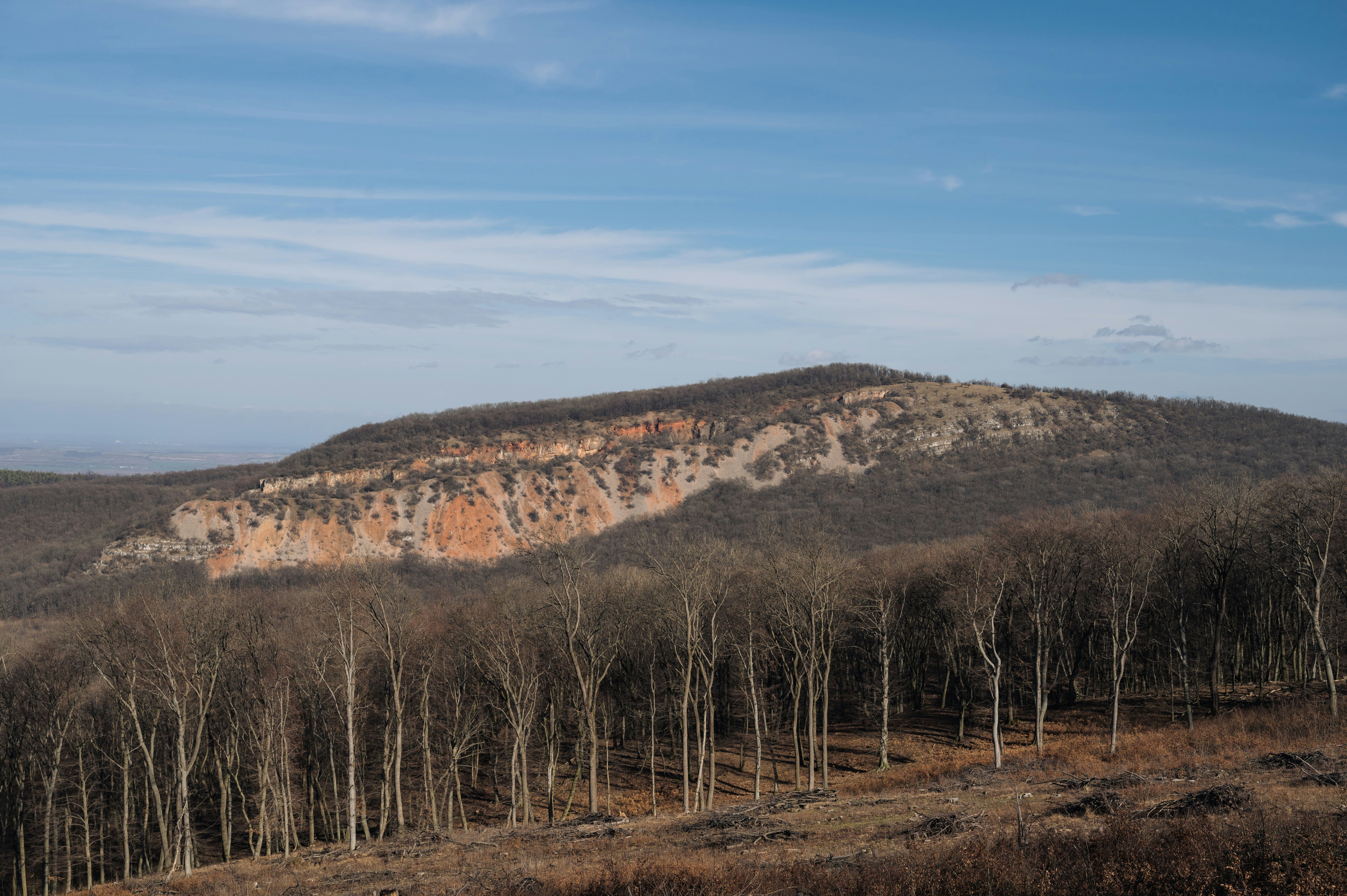 Photo by buduczki