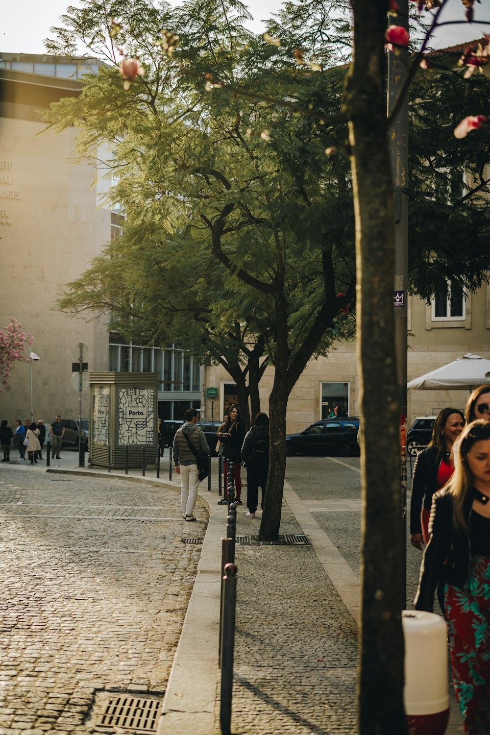 a group of people walking down a street next to a tree