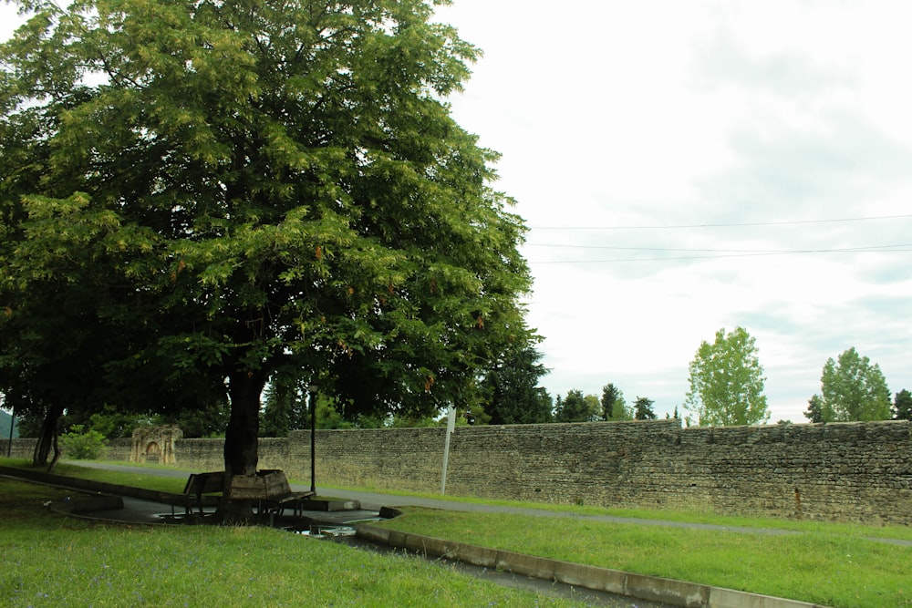 a park bench under a tree next to a stone wall
