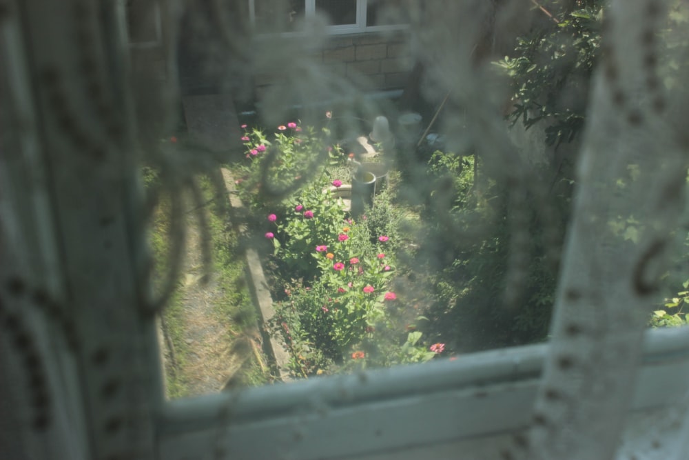 a view of a garden through a window