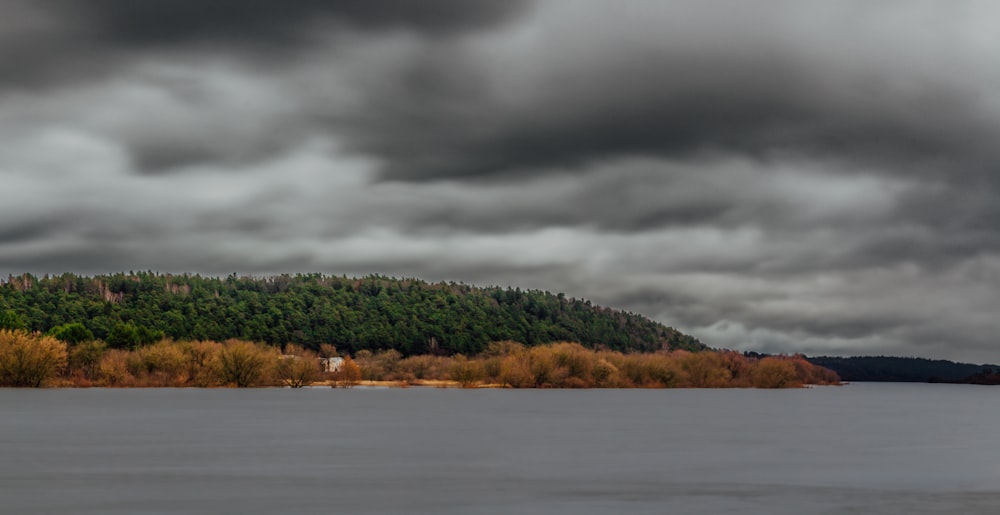 a large body of water surrounded by a forest