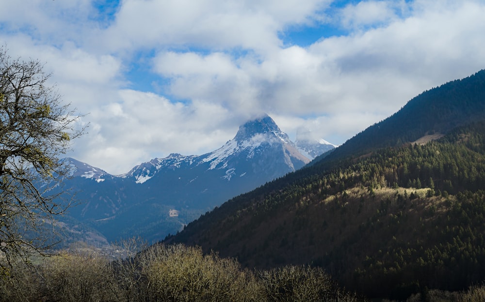 a view of a mountain range with trees in the foreground