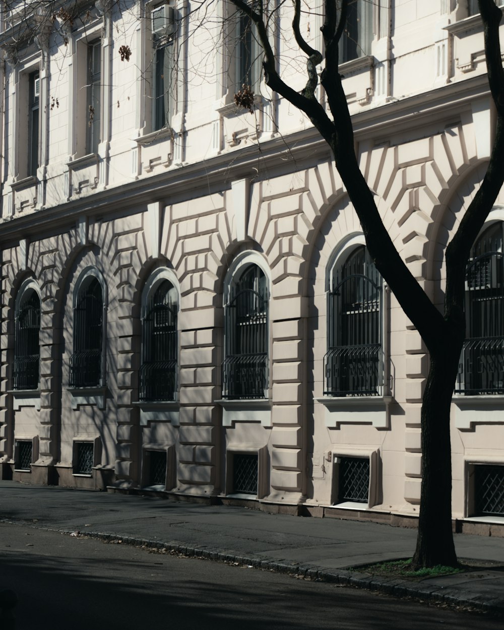 a large white building with arched windows next to a tree