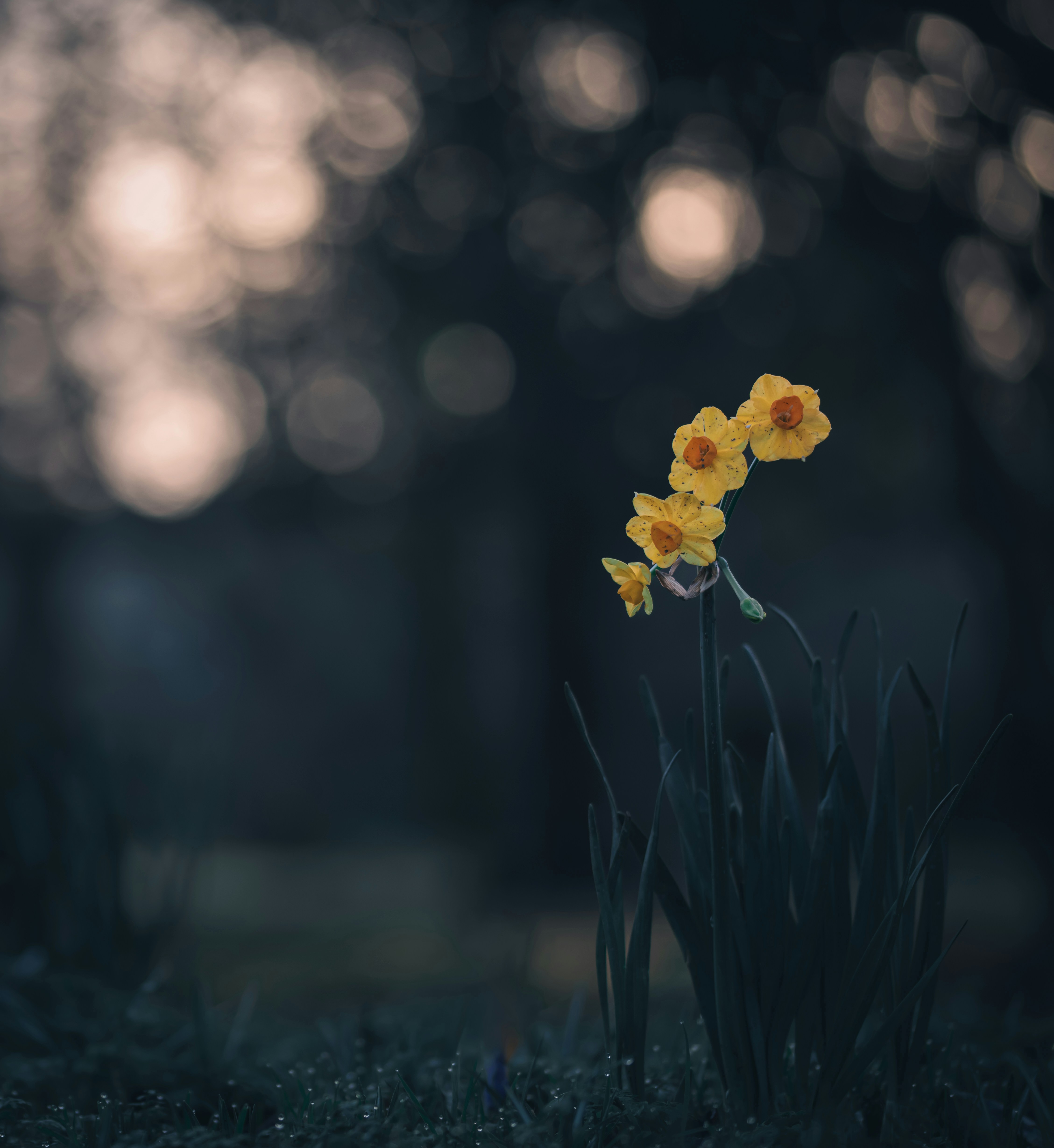 Photo by matt_captures_nature