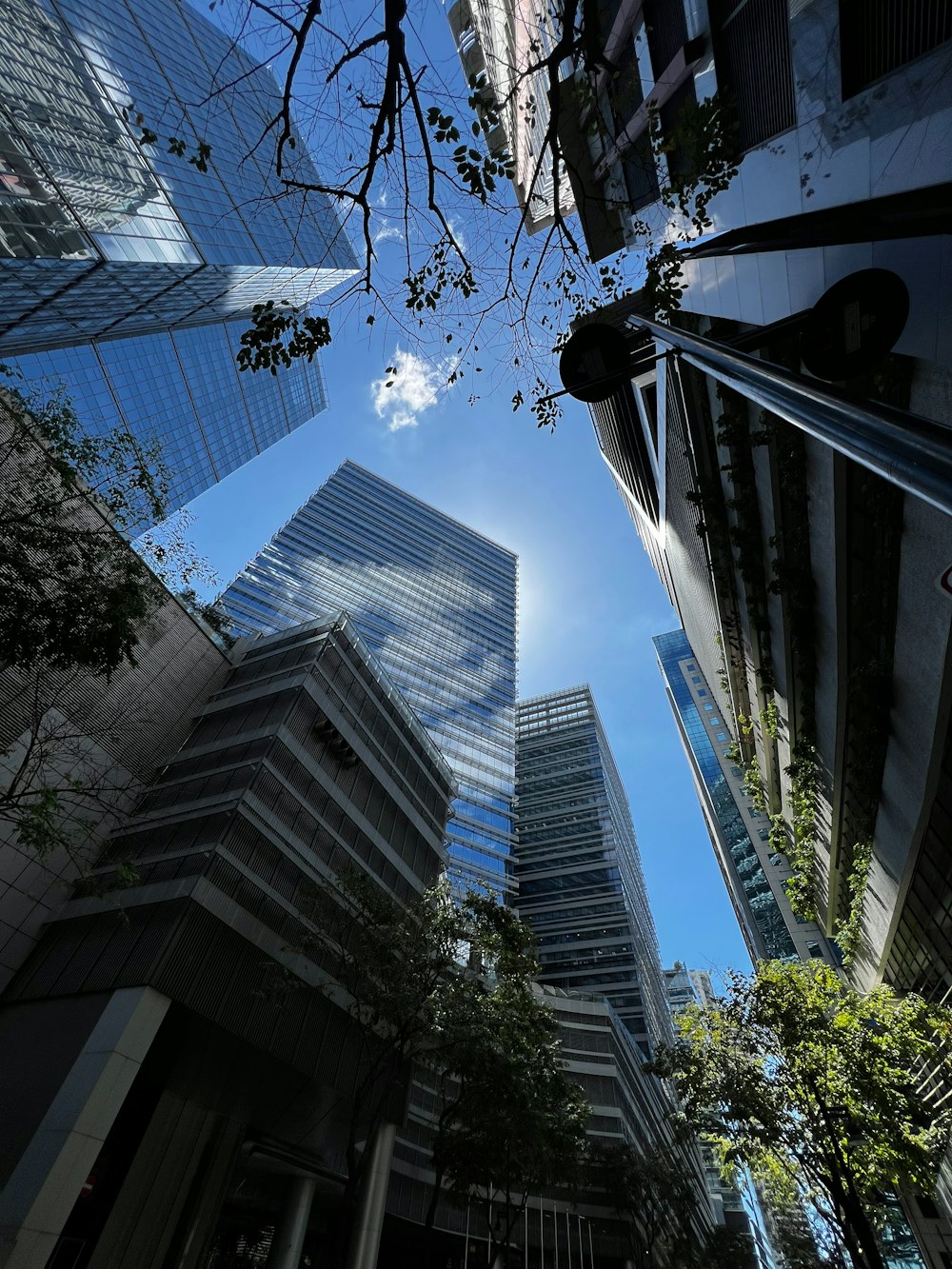 looking up at tall buildings in a city