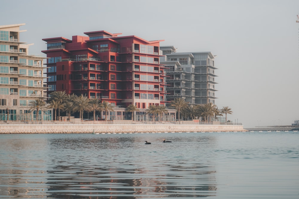 a body of water with buildings in the background