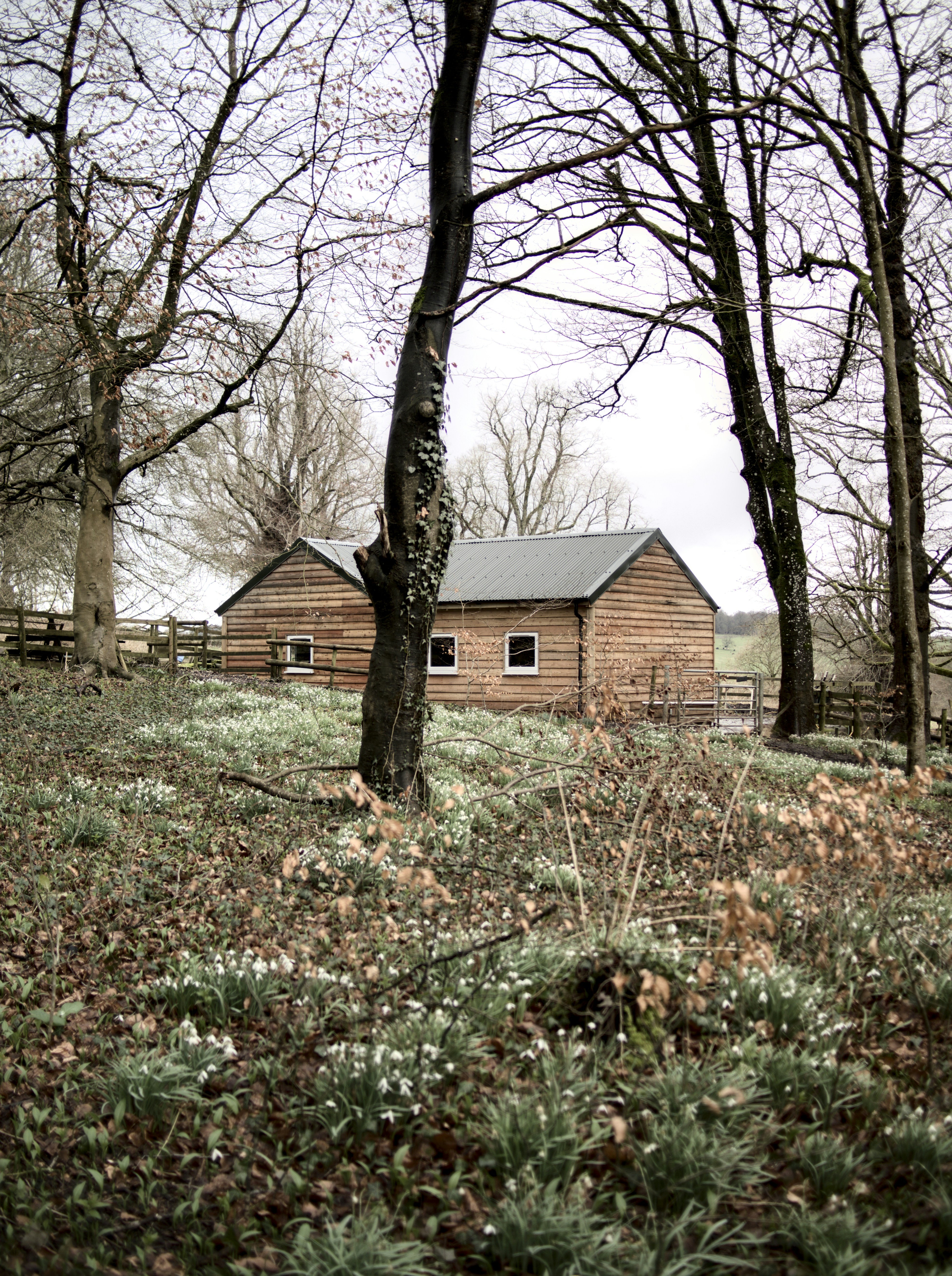 Photo by alexanderpharwood