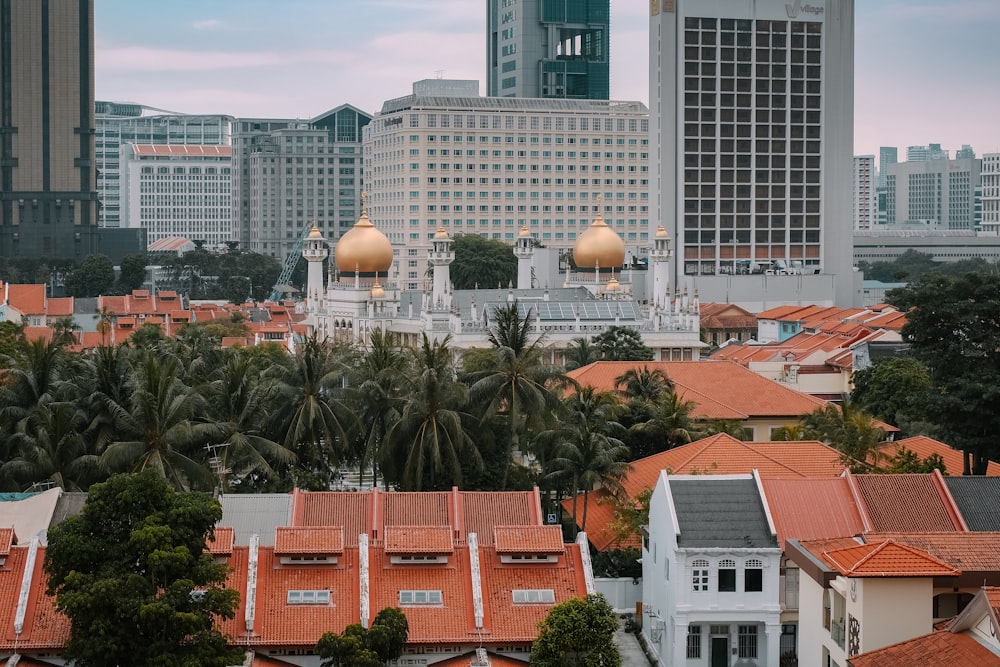 a view of a city with a lot of tall buildings