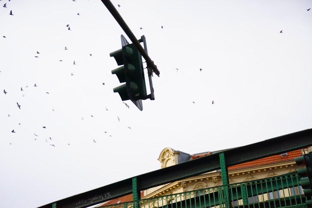 a bunch of birds flying around a traffic light