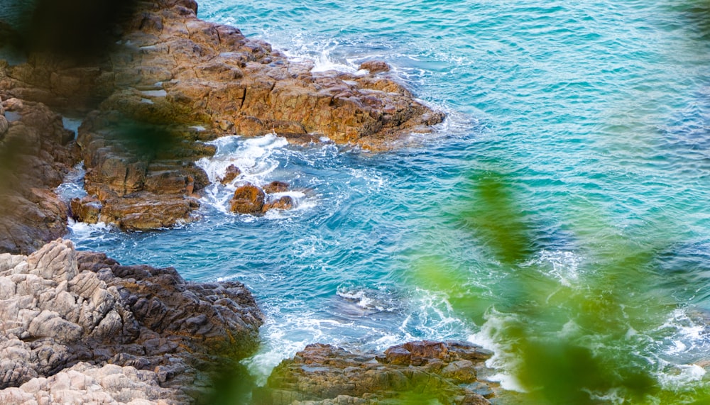 a bird sitting on top of a rock next to the ocean