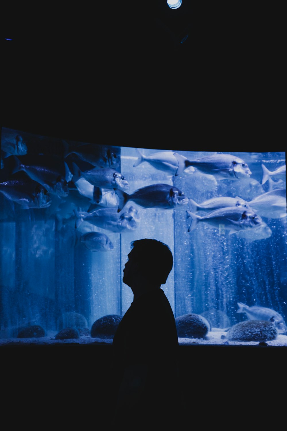 un homme debout devant un aquarium