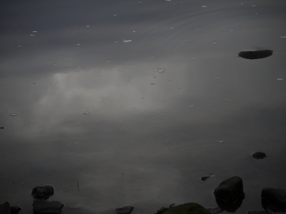 a body of water with rocks and a sky in the background