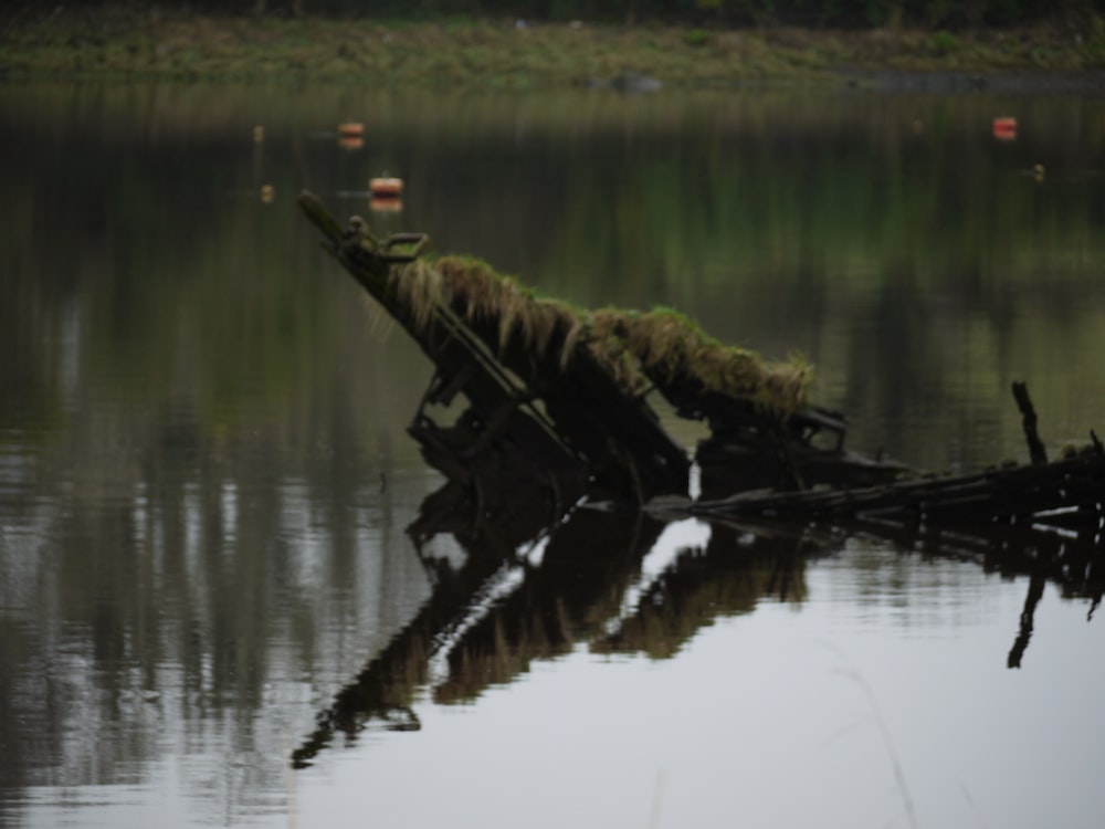 a boat that is sitting in the water