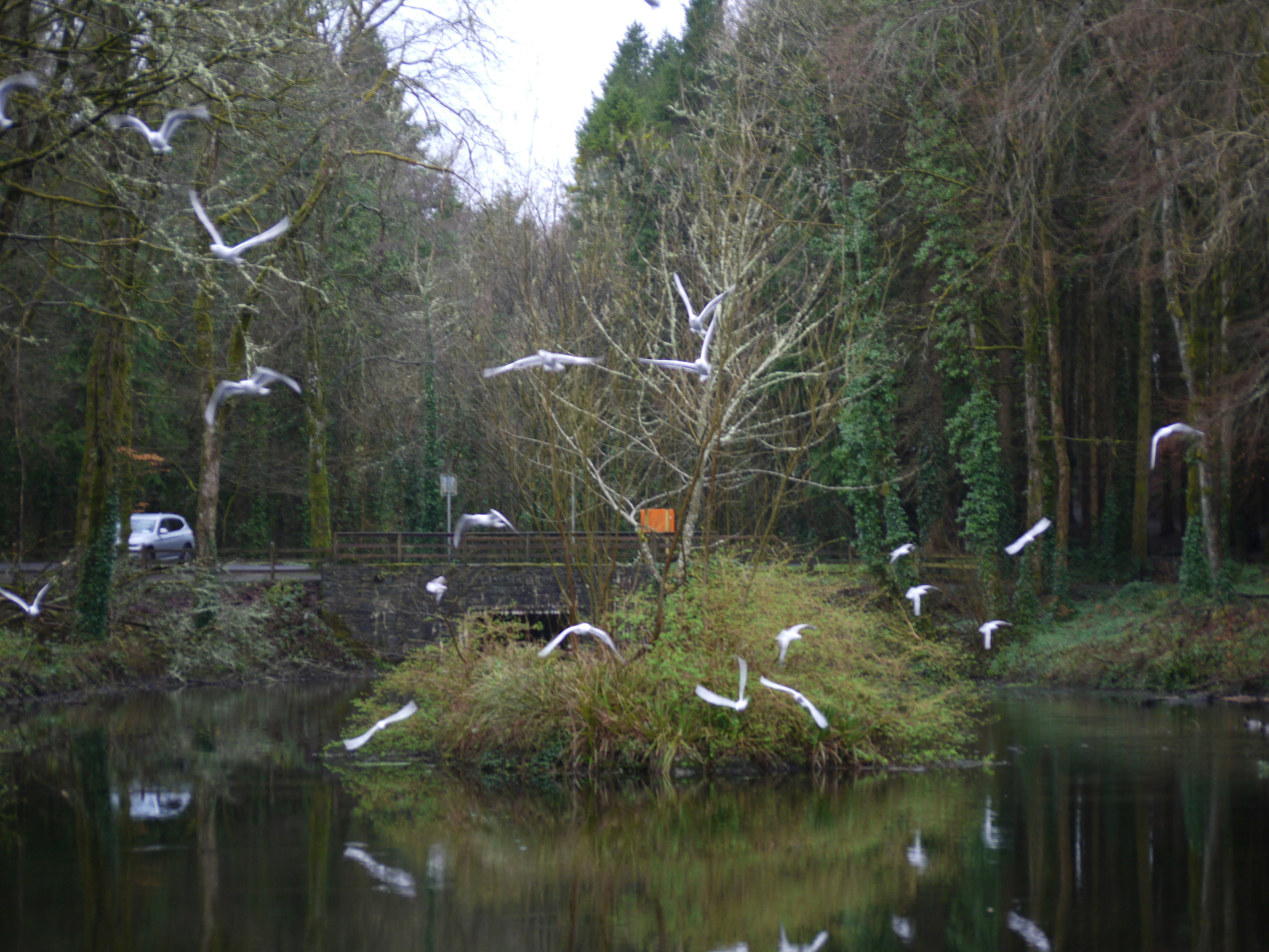 My 'Perfect' AI Was No Match For Human Chaos