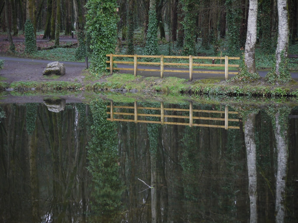 a bench sitting in the middle of a forest next to a lake