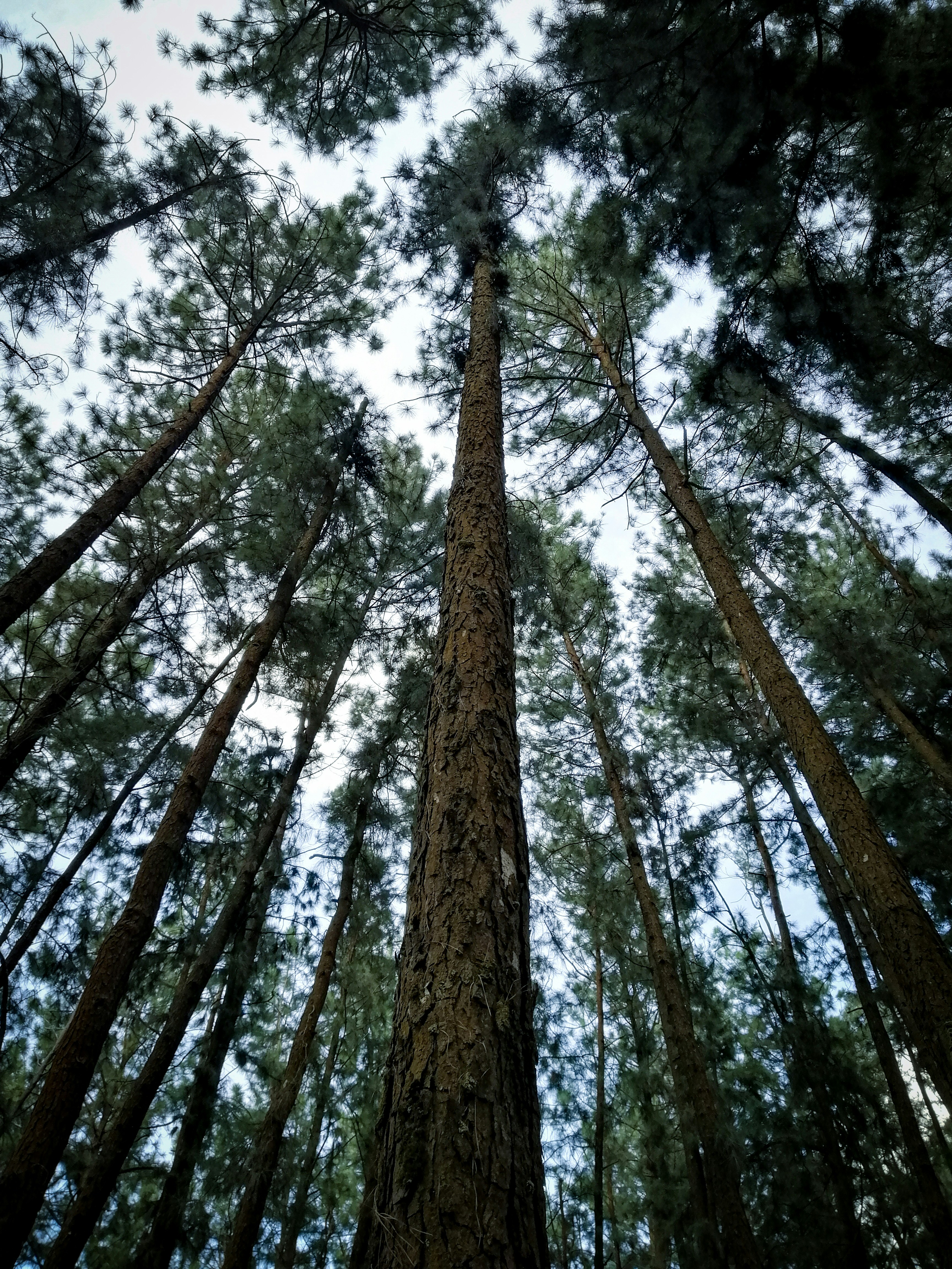 Photo by emmanual_jose