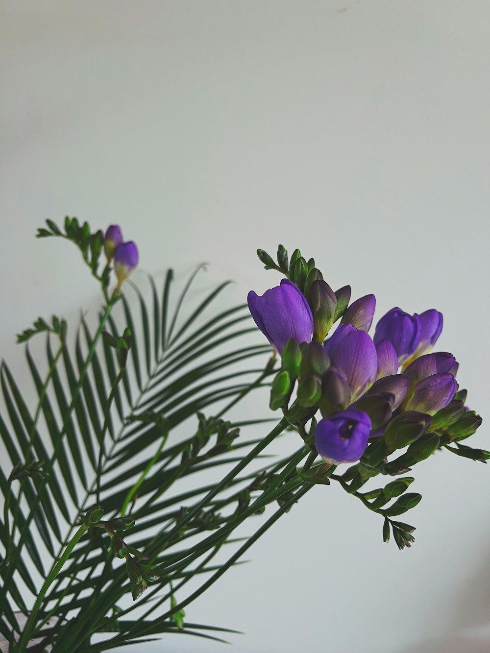 purple flowers in a vase on a table