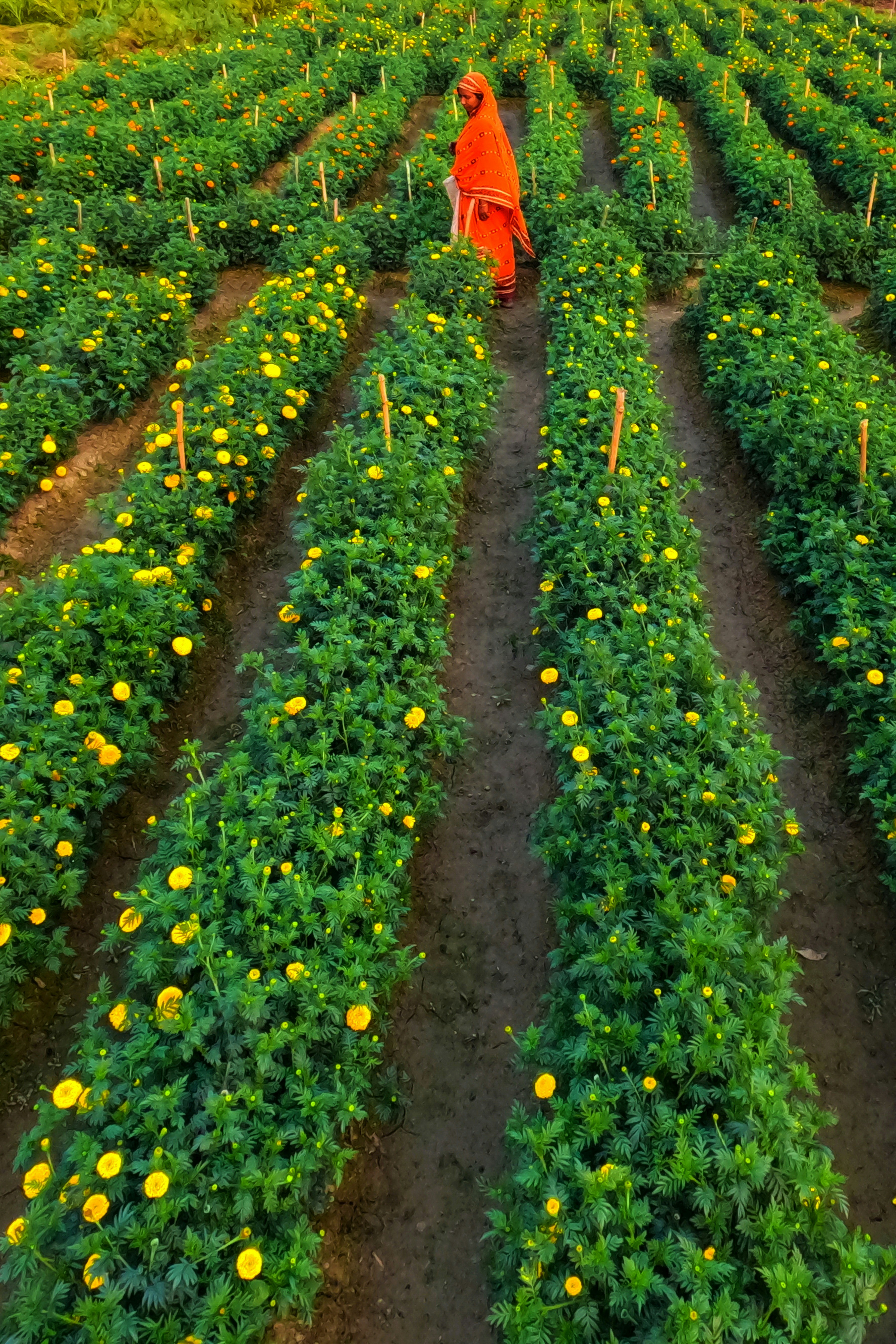 Photo by dibakar16roy