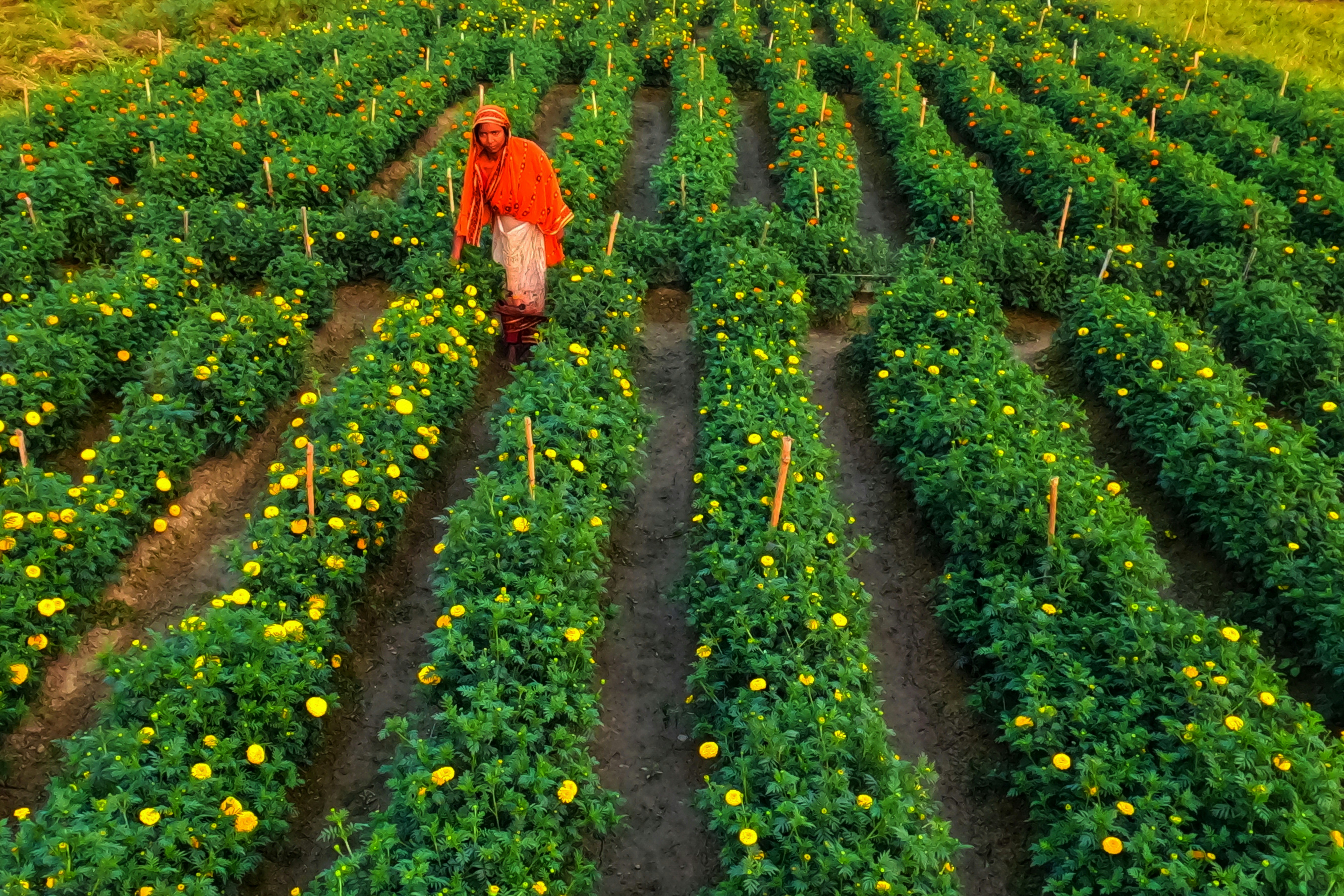 Photo by dibakar16roy