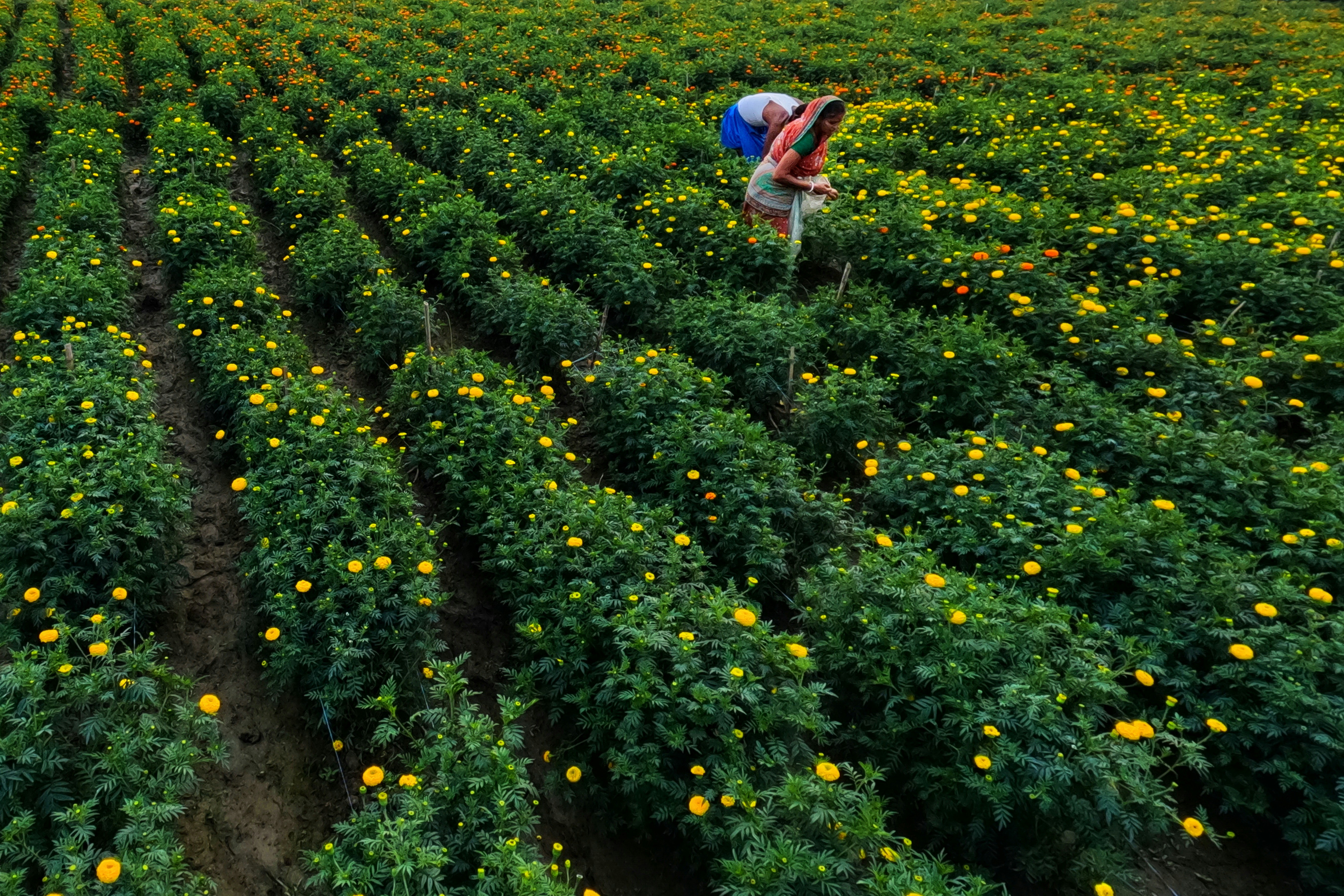 Photo by dibakar16roy