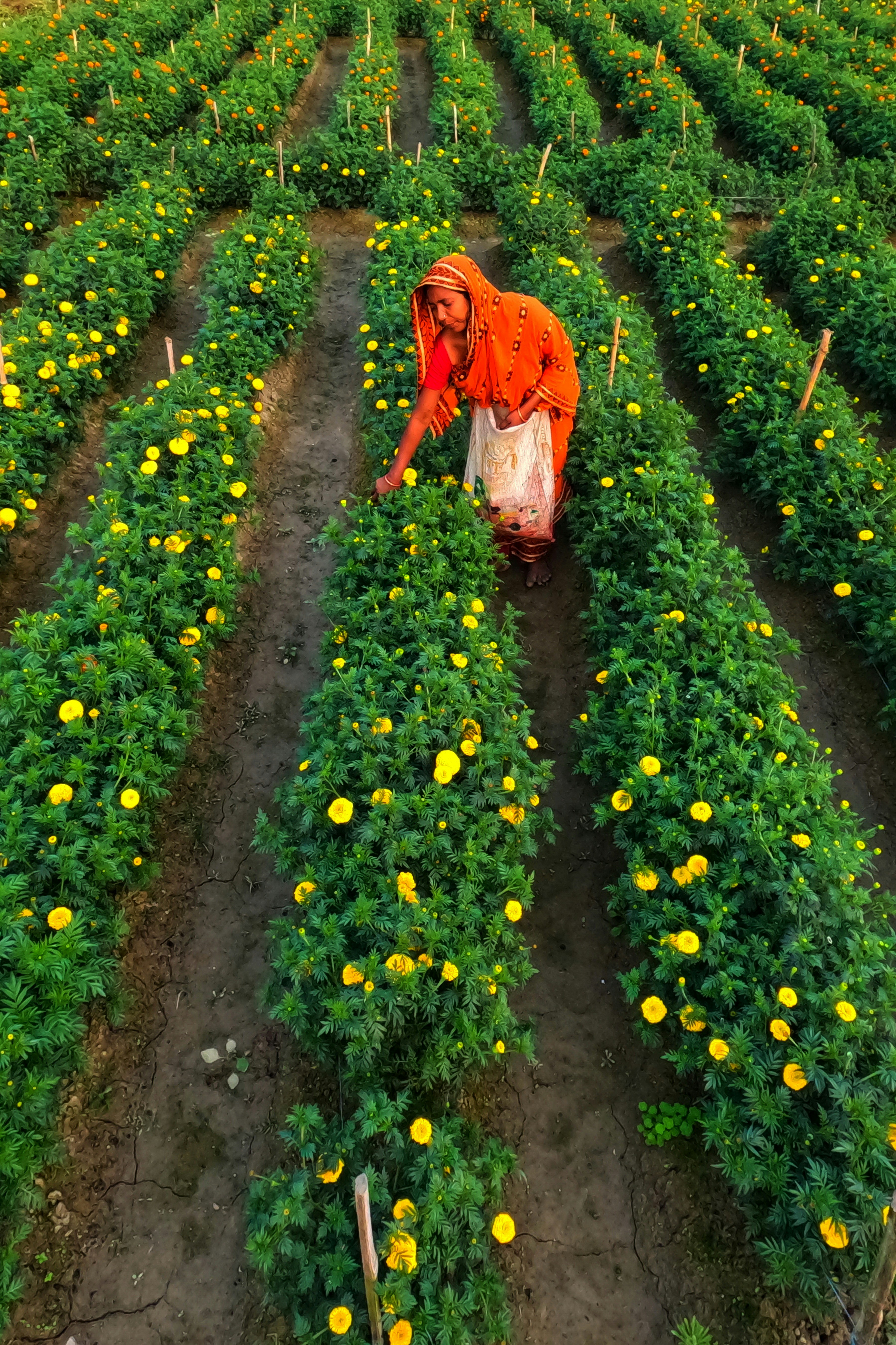 Photo by dibakar16roy