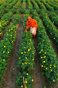 a woman kneeling down in the middle of a field