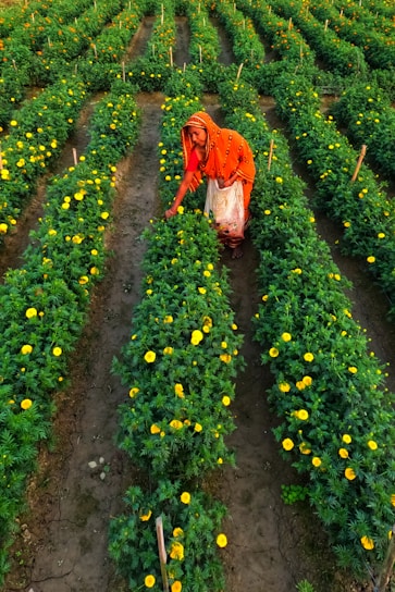 a woman kneeling down in the middle of a field