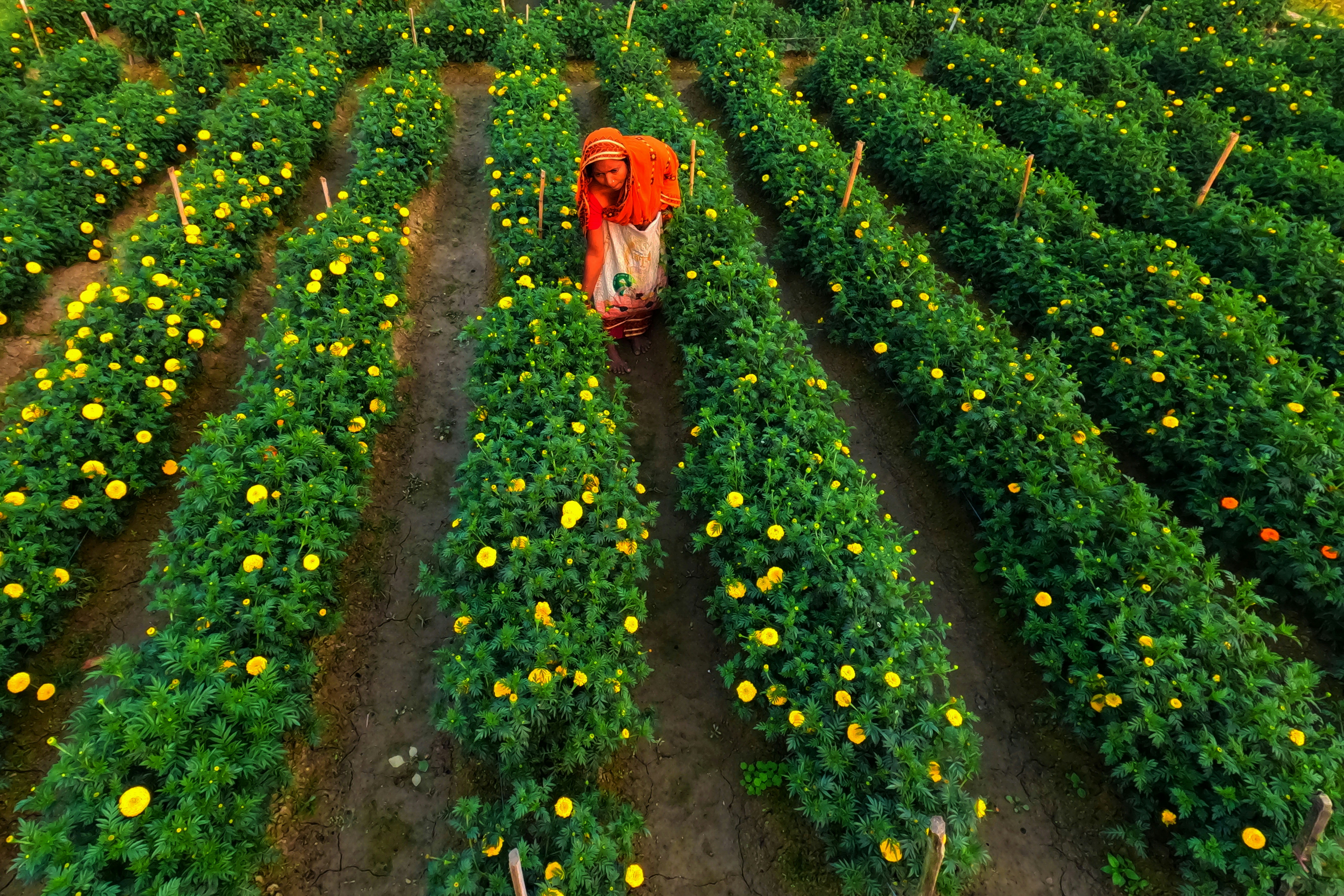 Photo by dibakar16roy