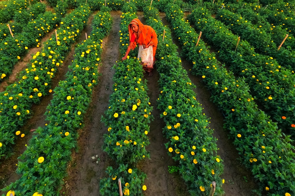 a woman walking through a field of yellow flowers
