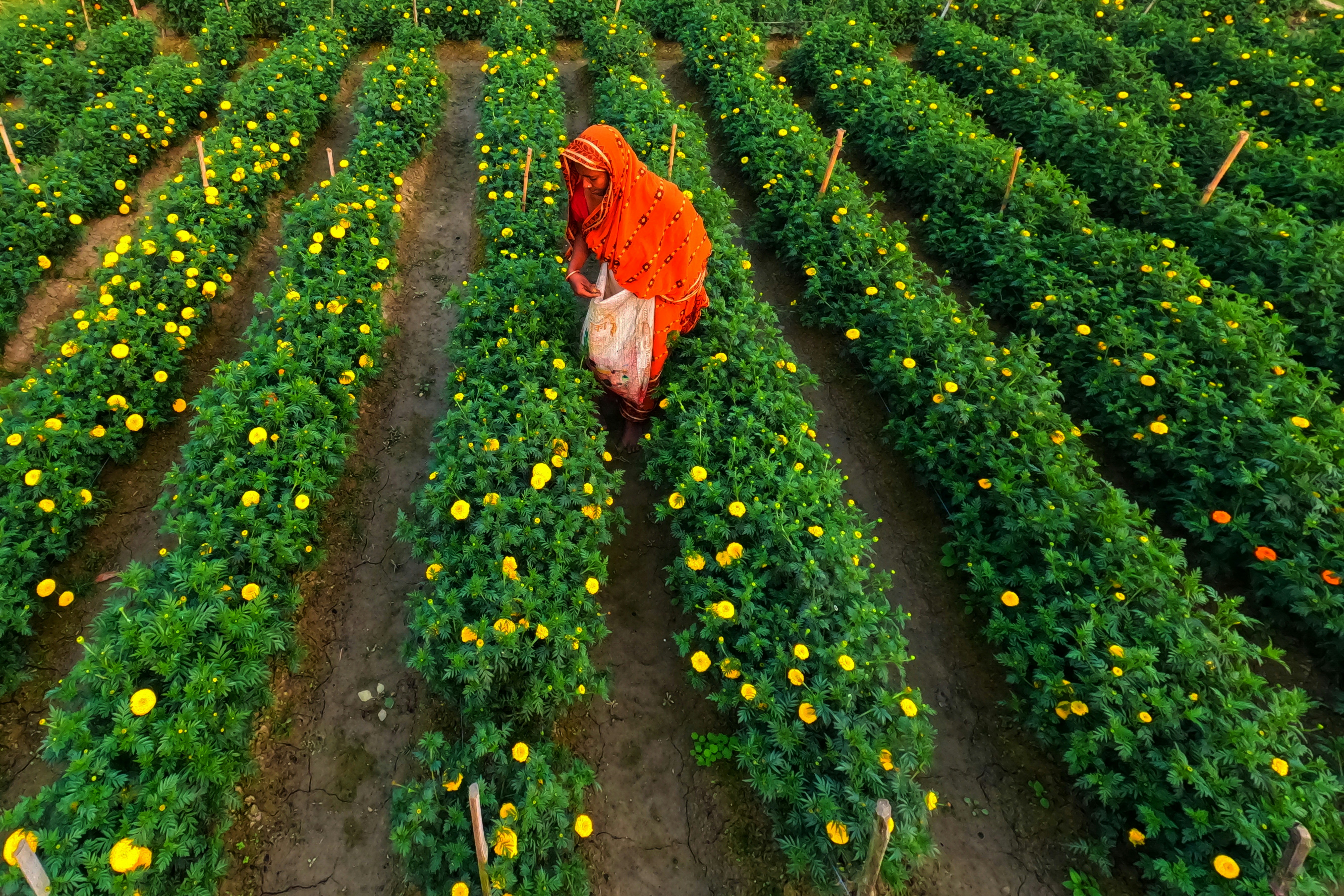 Photo by dibakar16roy