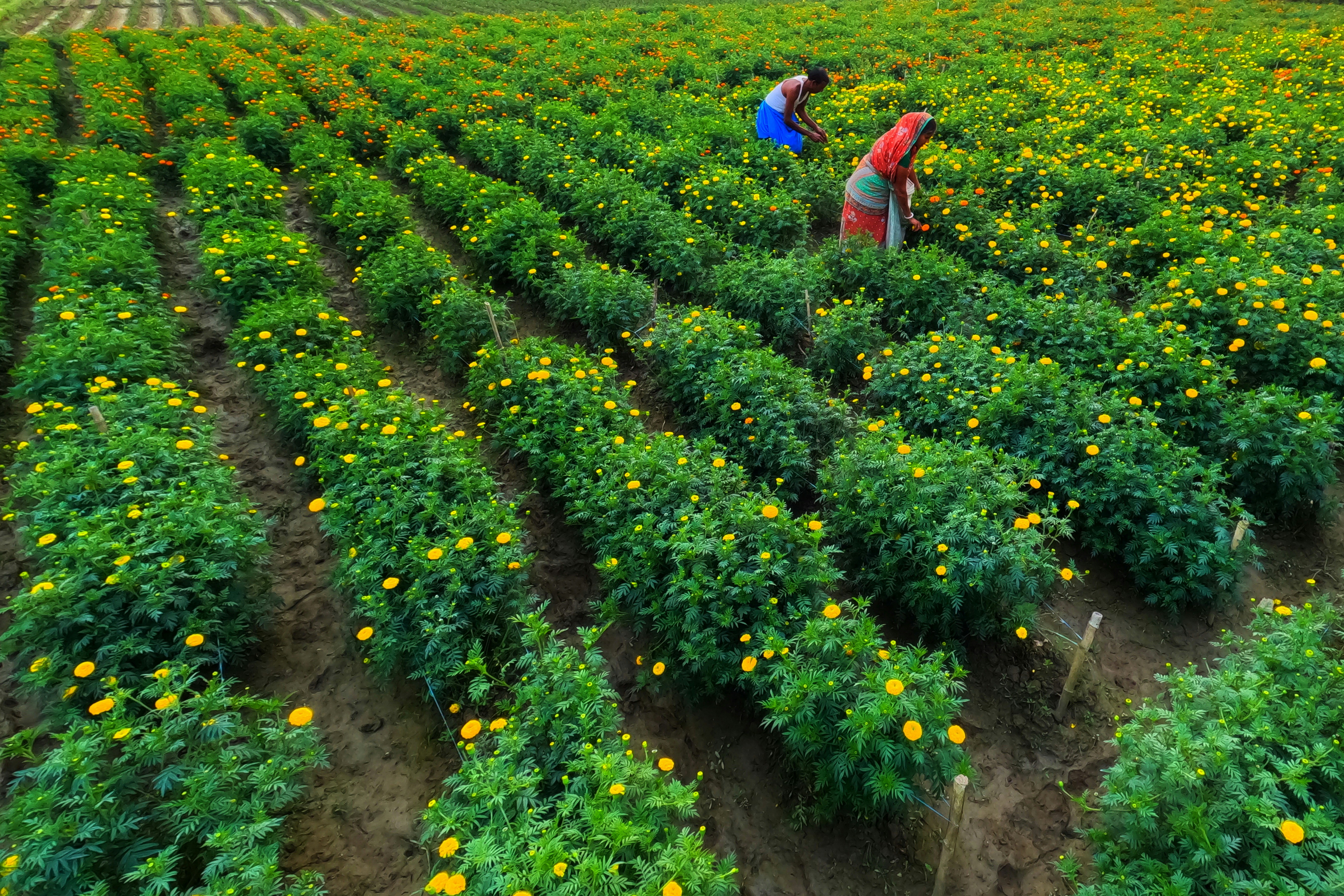 Photo by dibakar16roy