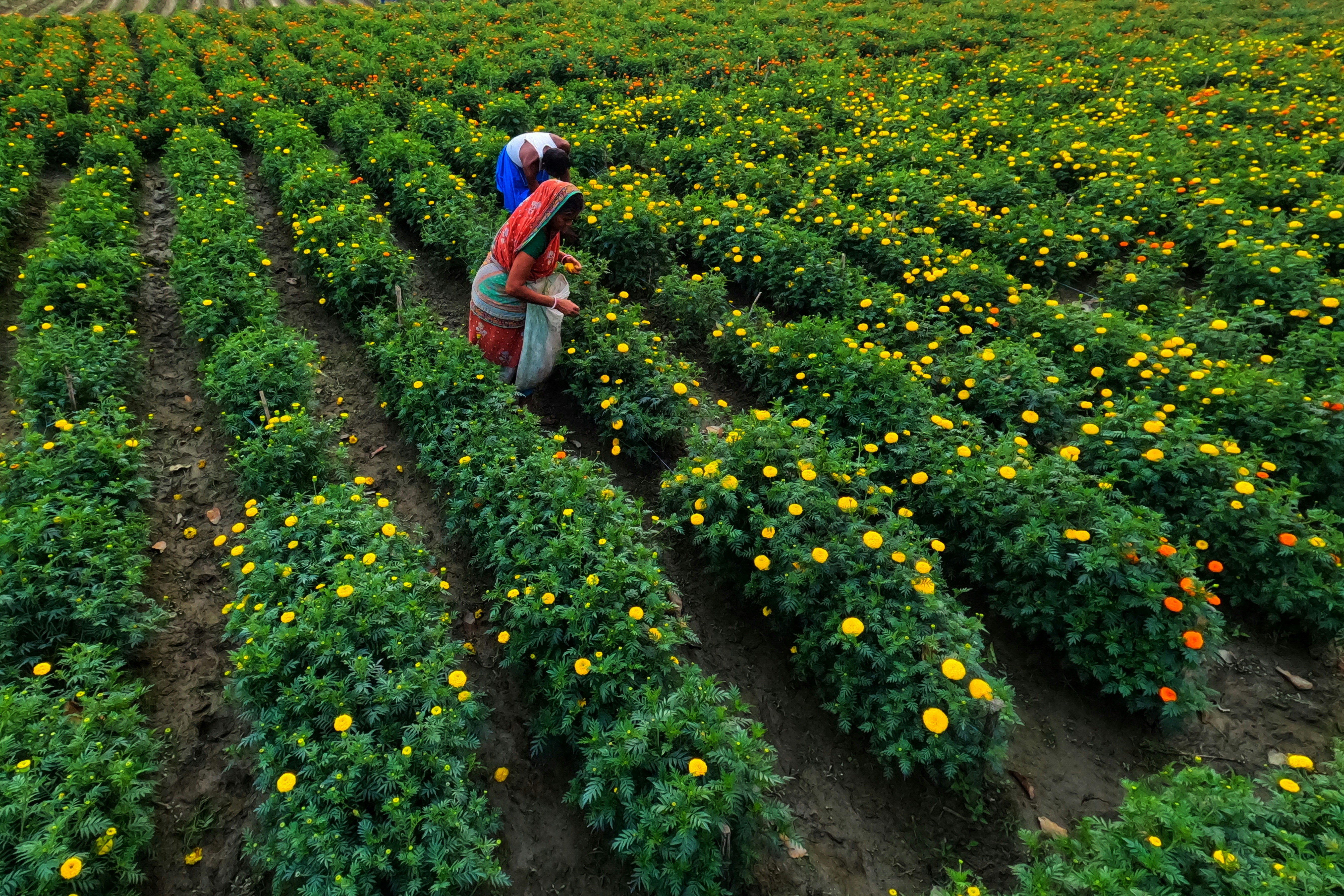 Photo by dibakar16roy