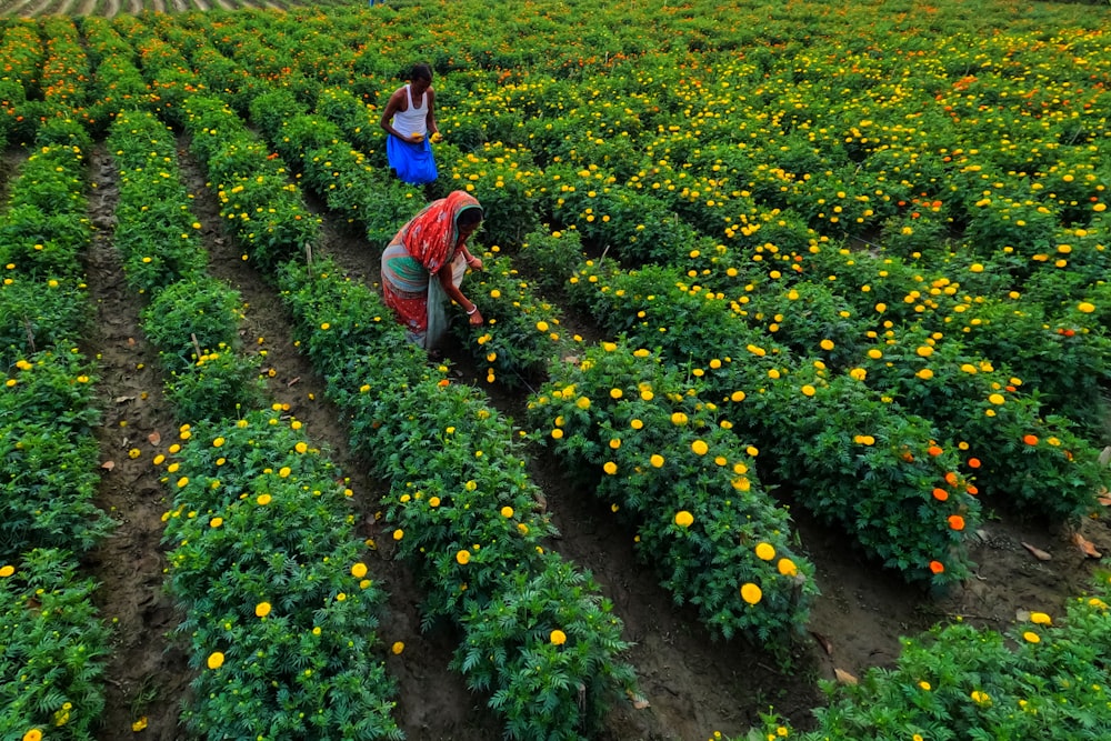 a couple of people that are in a field