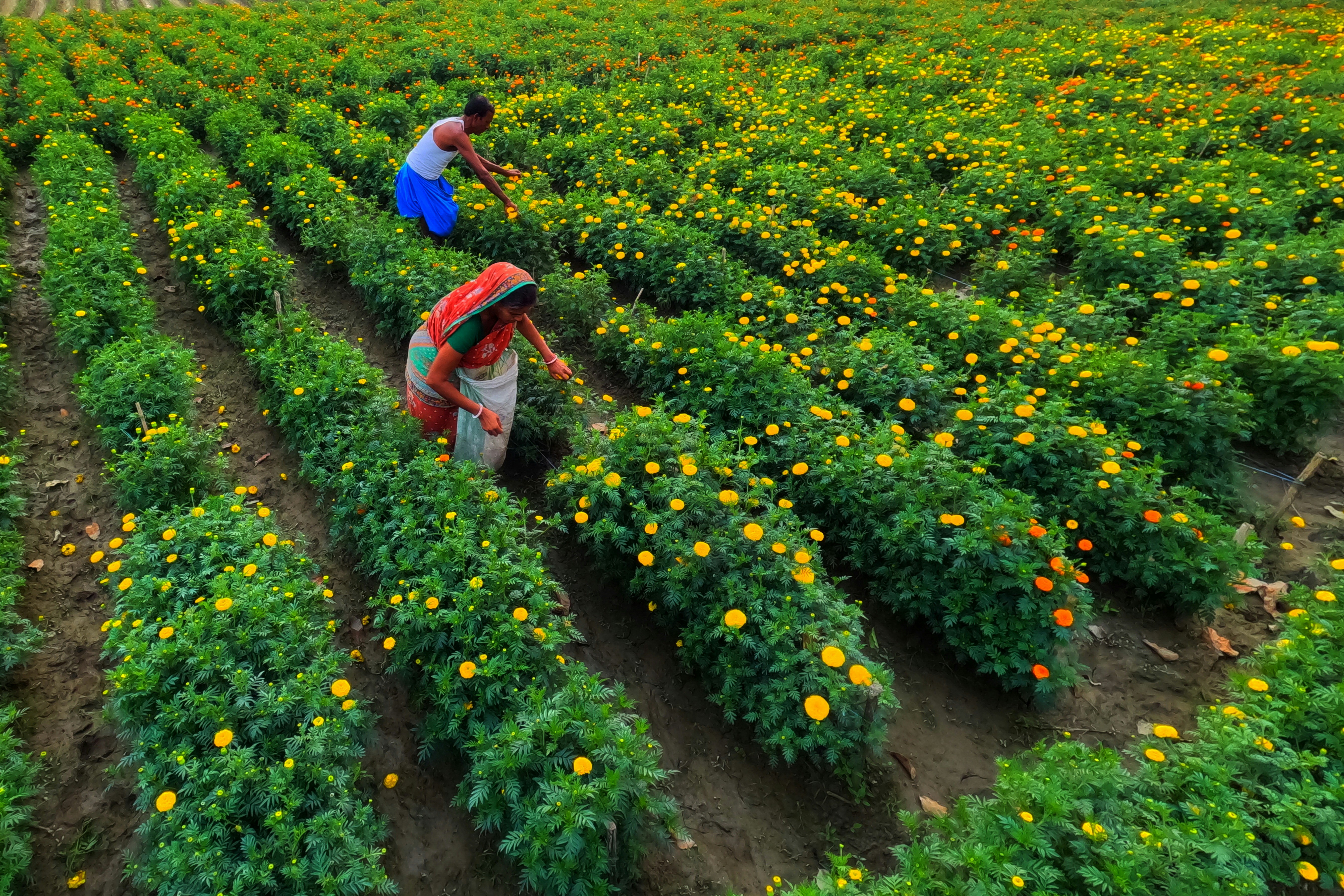 Photo by dibakar16roy