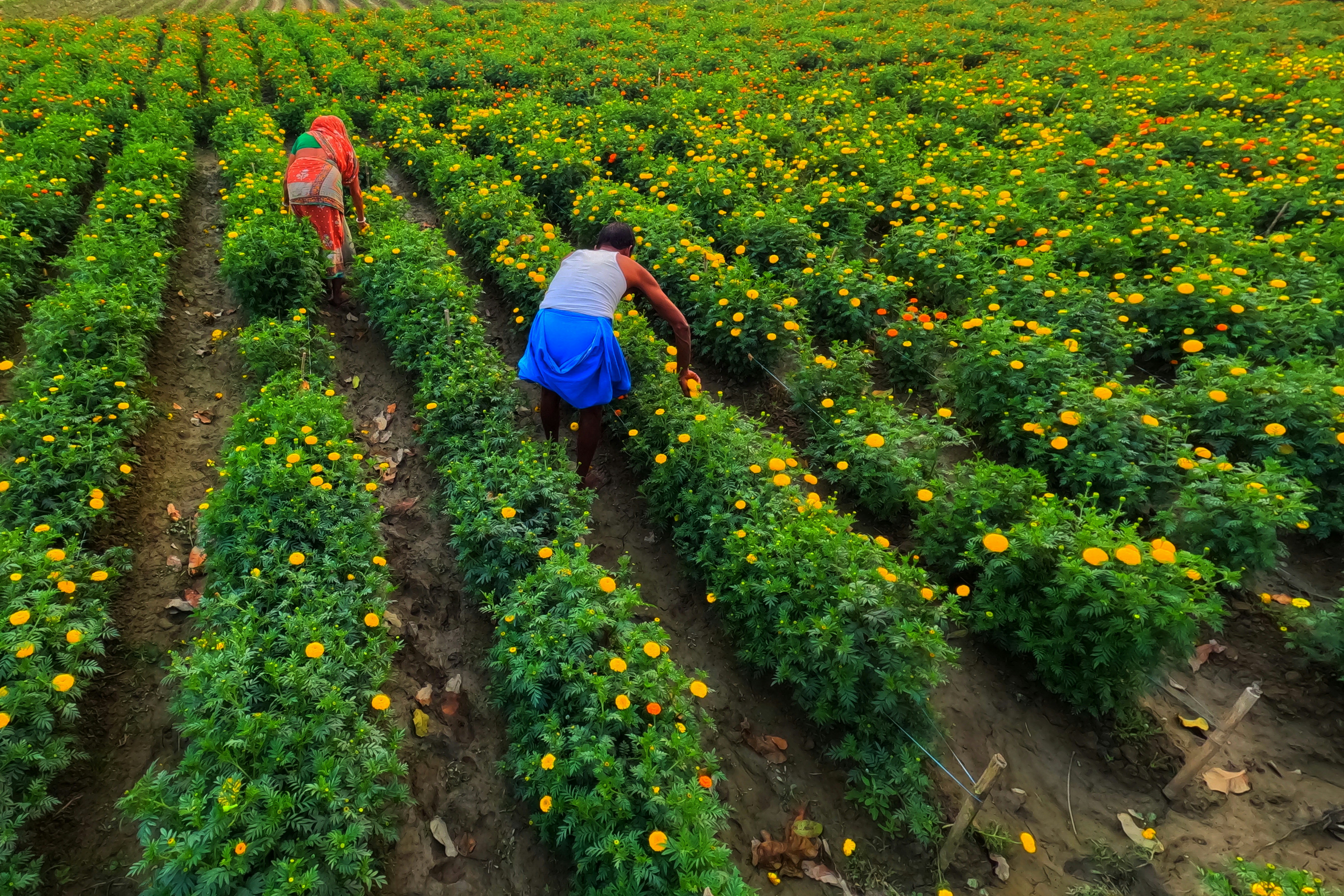 Photo by dibakar16roy