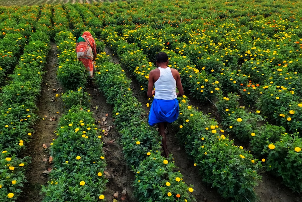 two people walking through a field of yellow flowers