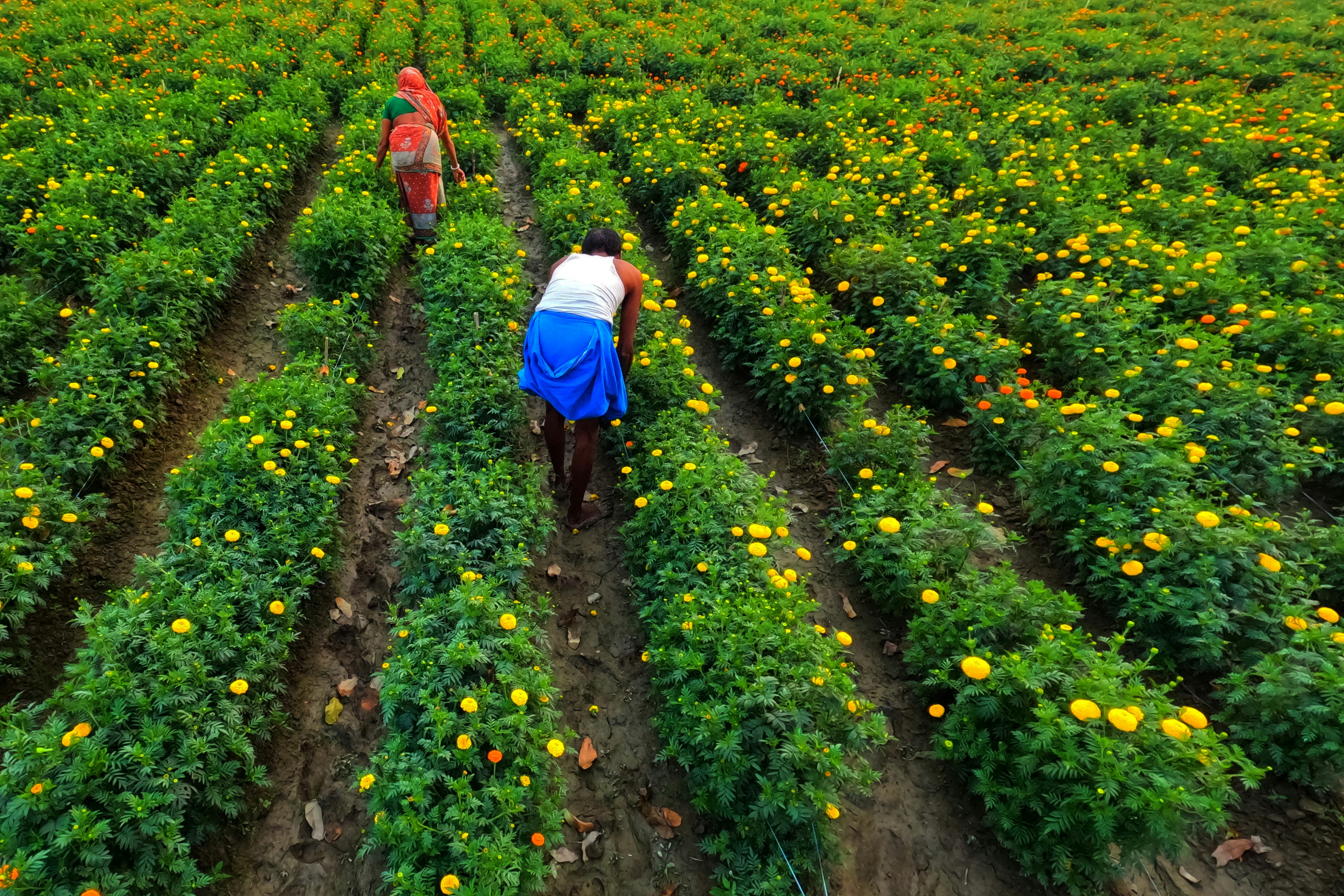 Photo by dibakar16roy