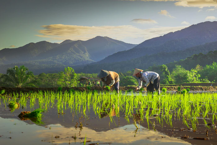 community — Rooted in rural development