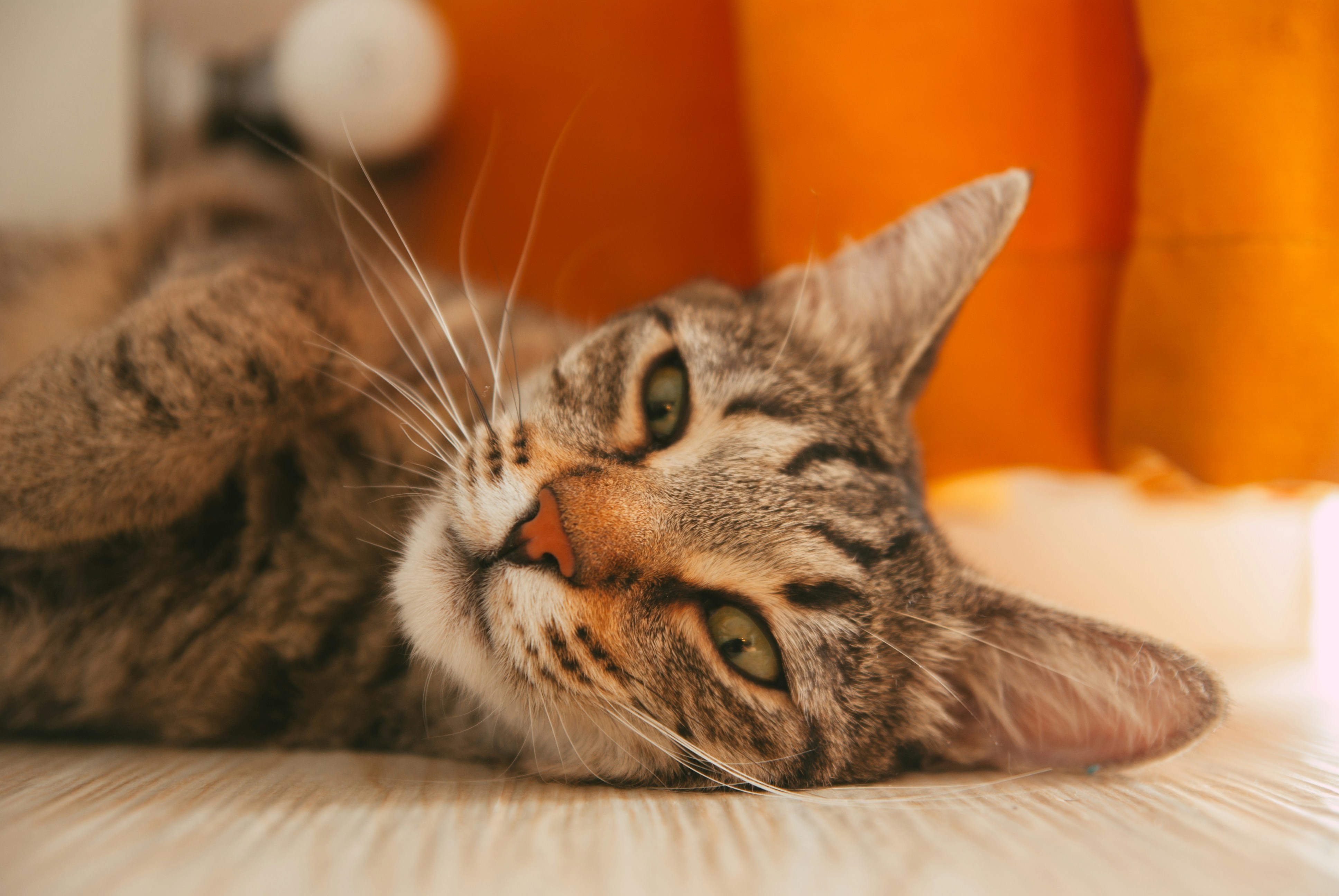 Photo by moonmoons_days