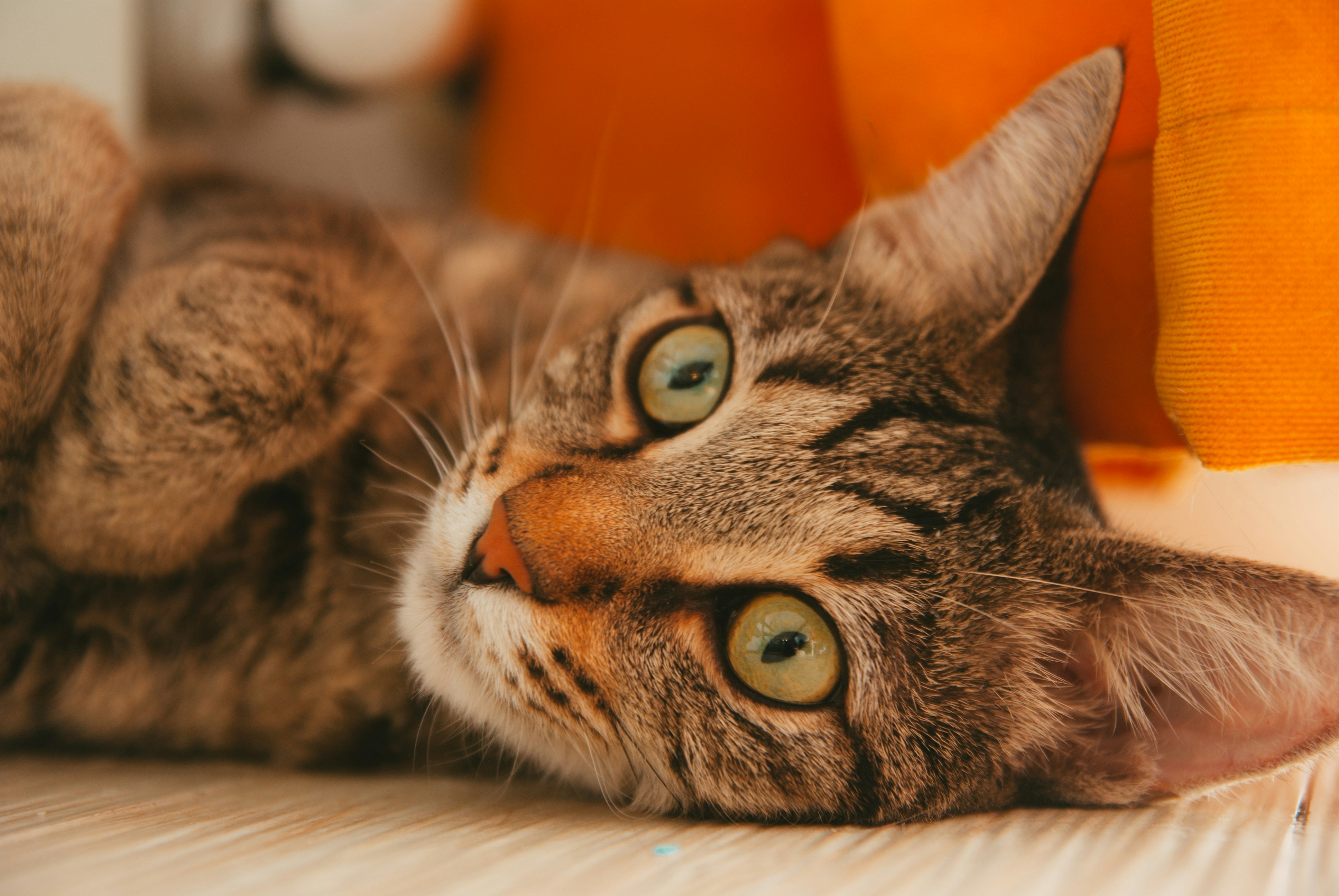 Photo by moonmoons_days